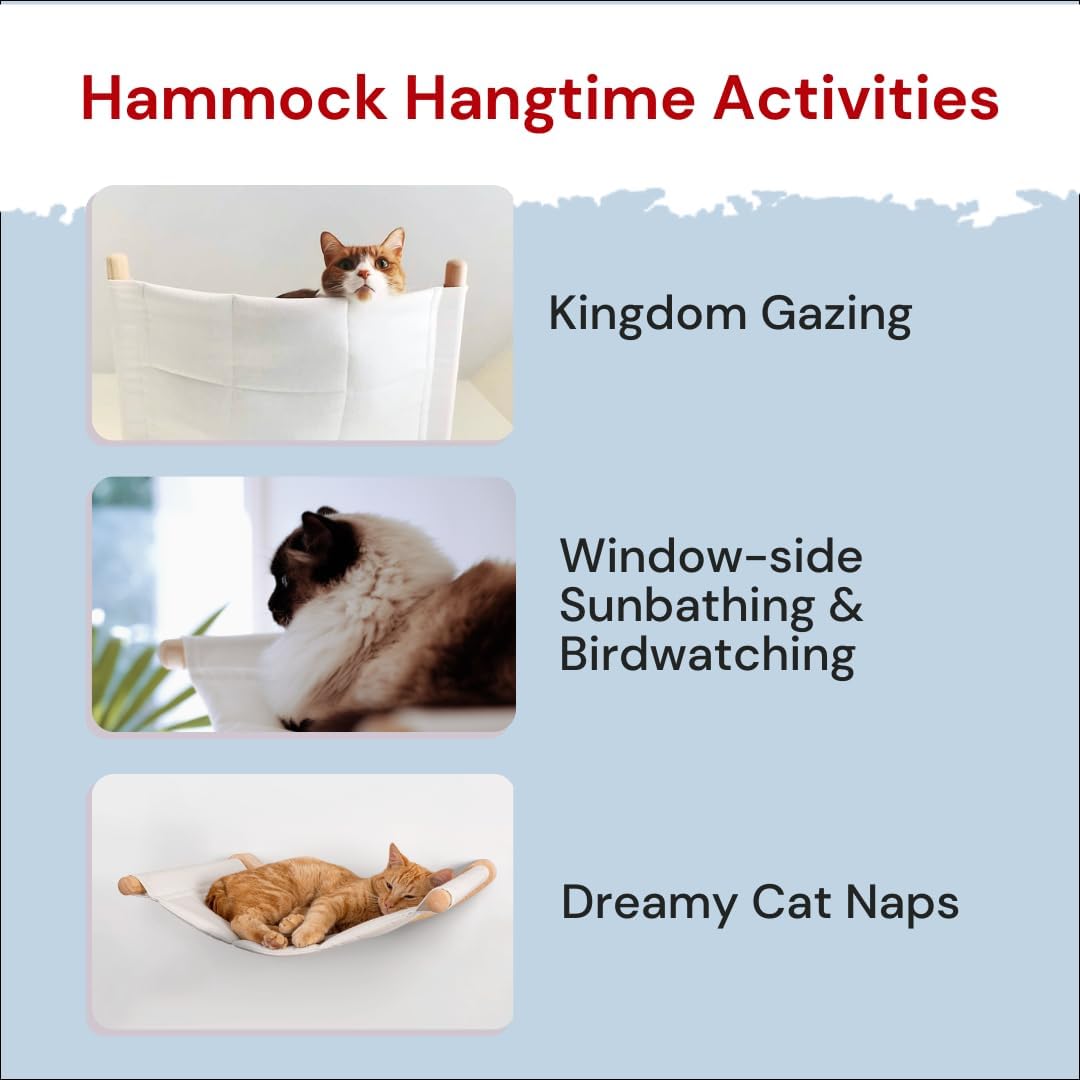 7 Ruby Road Cat Hammock Wall Mounted Cat Shelf with Two Steps – Cat Wall Shelves and Perches for Sleeping, Playing, Climbing, and Lounging – Modern Cat Bed & Furniture for Large Cats or Kitty