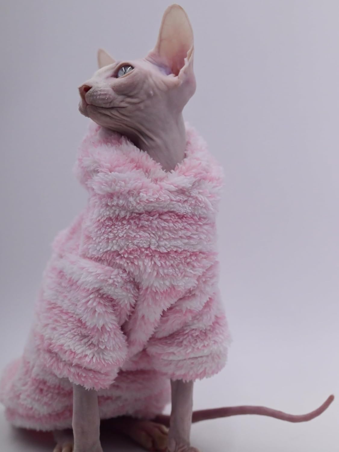 Hairless Cat Clothes Warm Thickness Soft Winter Cat Apparel for Sphynx Cats, Devon Rex Cats, Cornish and Small Cats (Large)