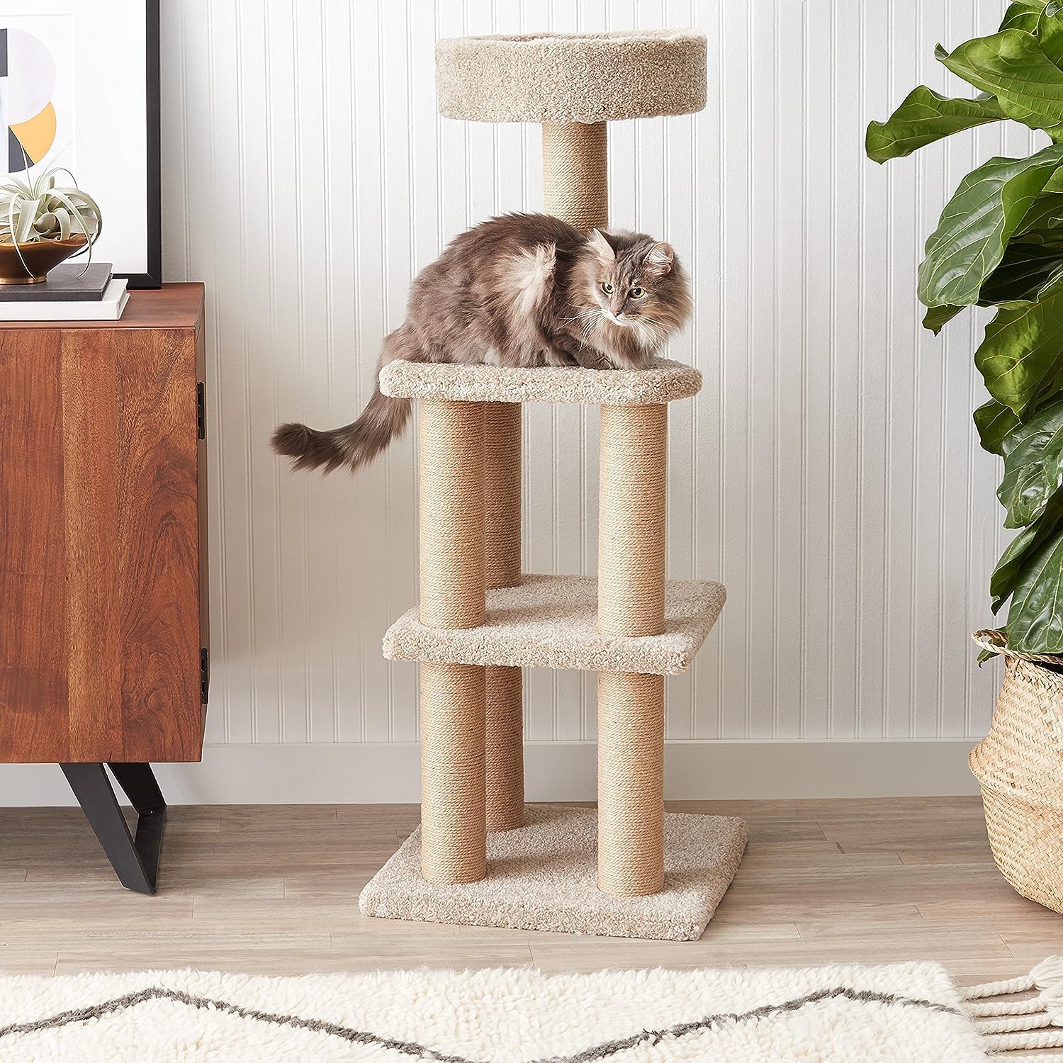Amazon Basics – Cat Tree Indoor Climbing Activity Tower with Scratching Posts, multi-level, Large, 17.7″ x 45.9″, Beige