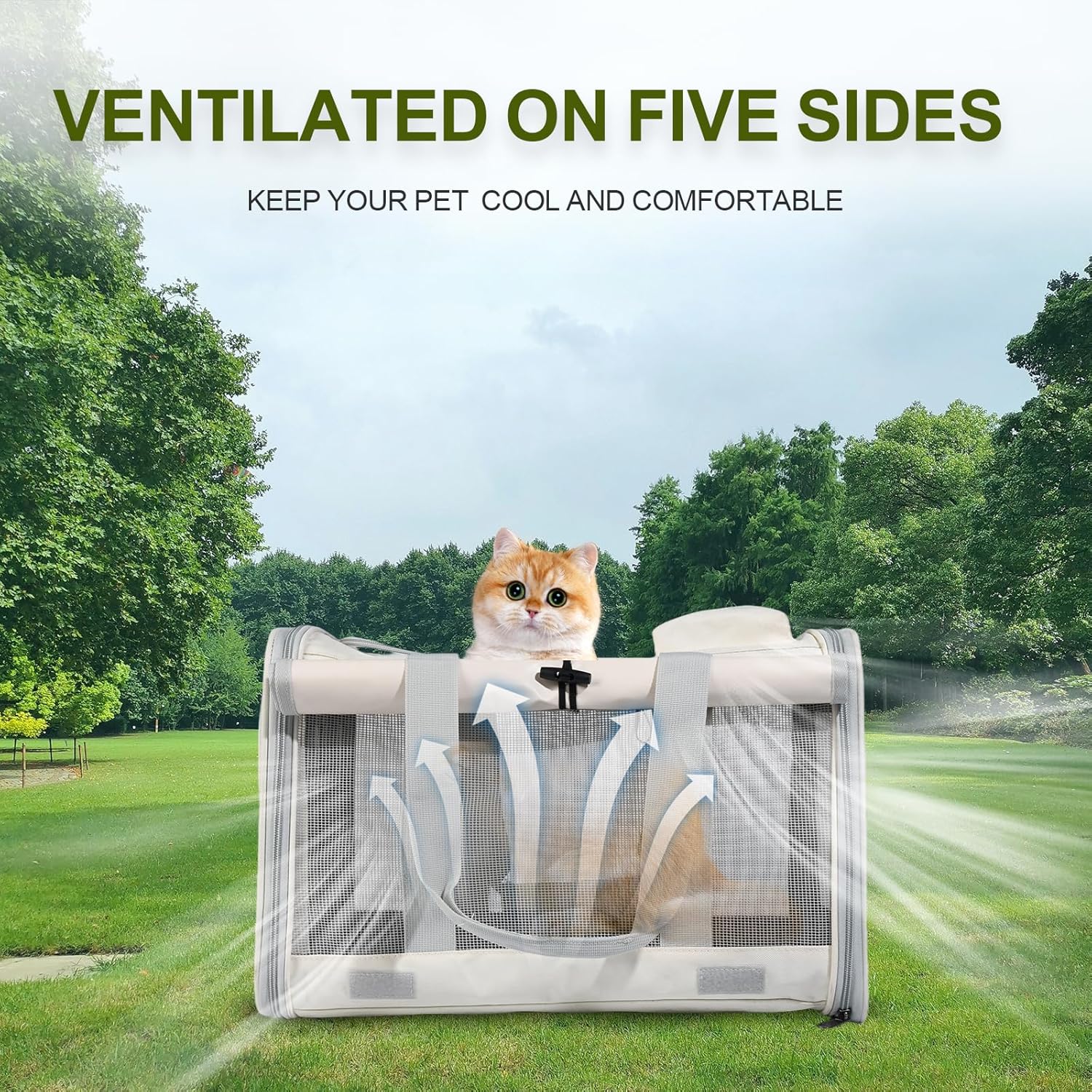 Large Soft-Sided Cat Carrier for Animals up to 16 lbs: Collapsible, Ventilated Travel Carrier Suitable for Cats, Puppies, and Small Pets