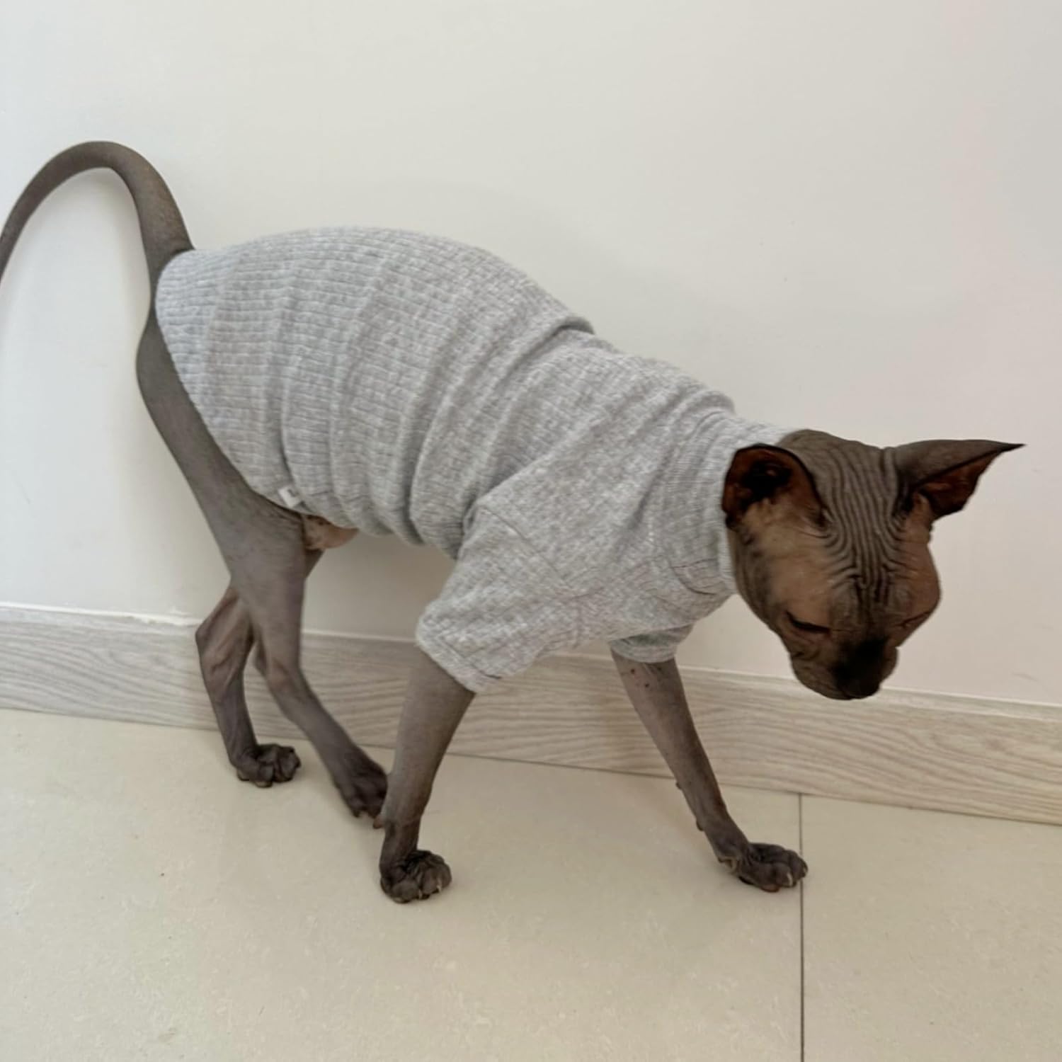 Sphynx Hairless Cats Shirt Cotton Cat Turtleneck Sweater Pullover Kitten T-Shirts with Sleeves Cat Pajamas Jumpsuit for Sphynx Cornish Rex, Devon Rex, Peterbald (Medium (Pack of 1), Light Grey)