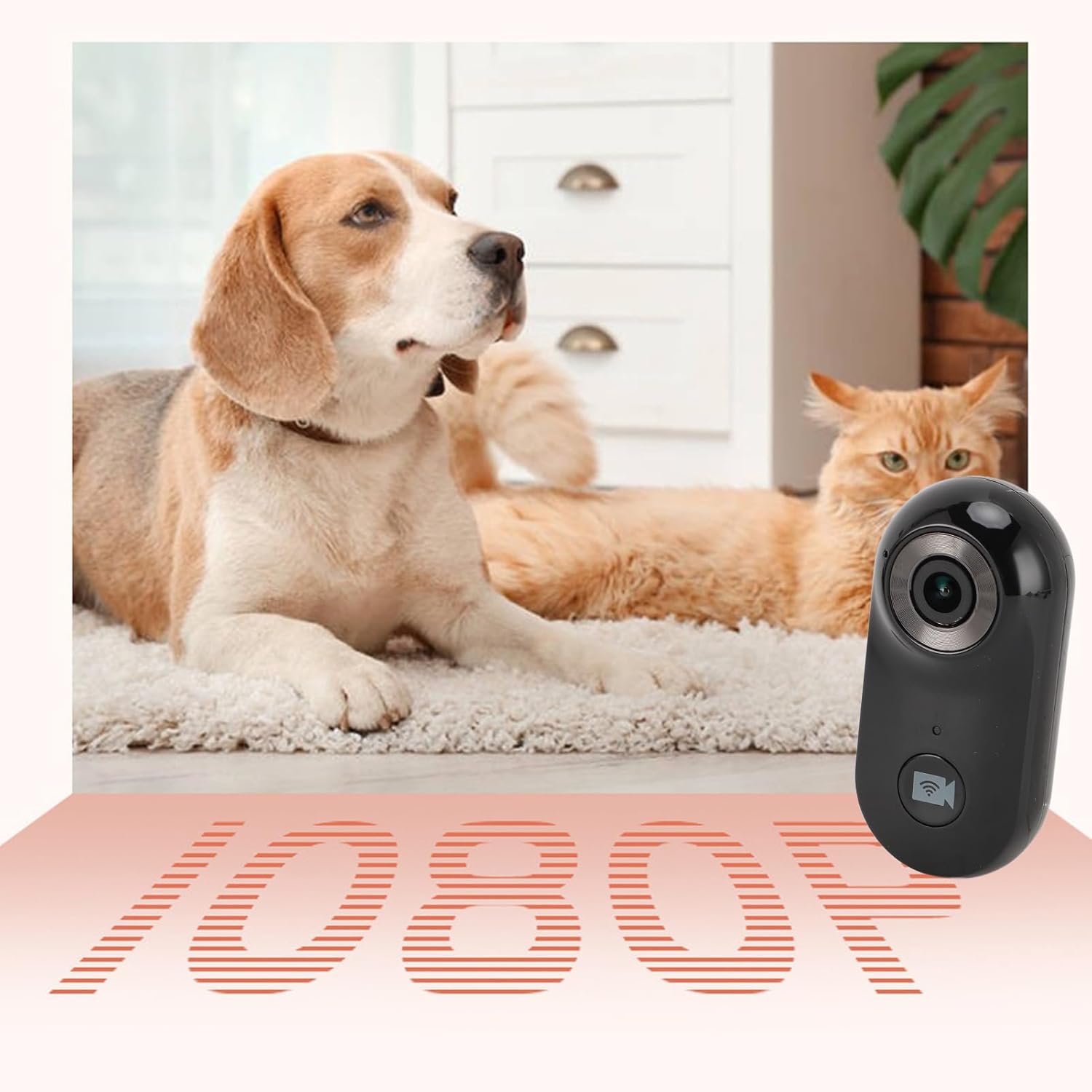 Gugxiom Cat Collar Camera, 1080P HD 2.4G Pet POV Camera with APP, Black