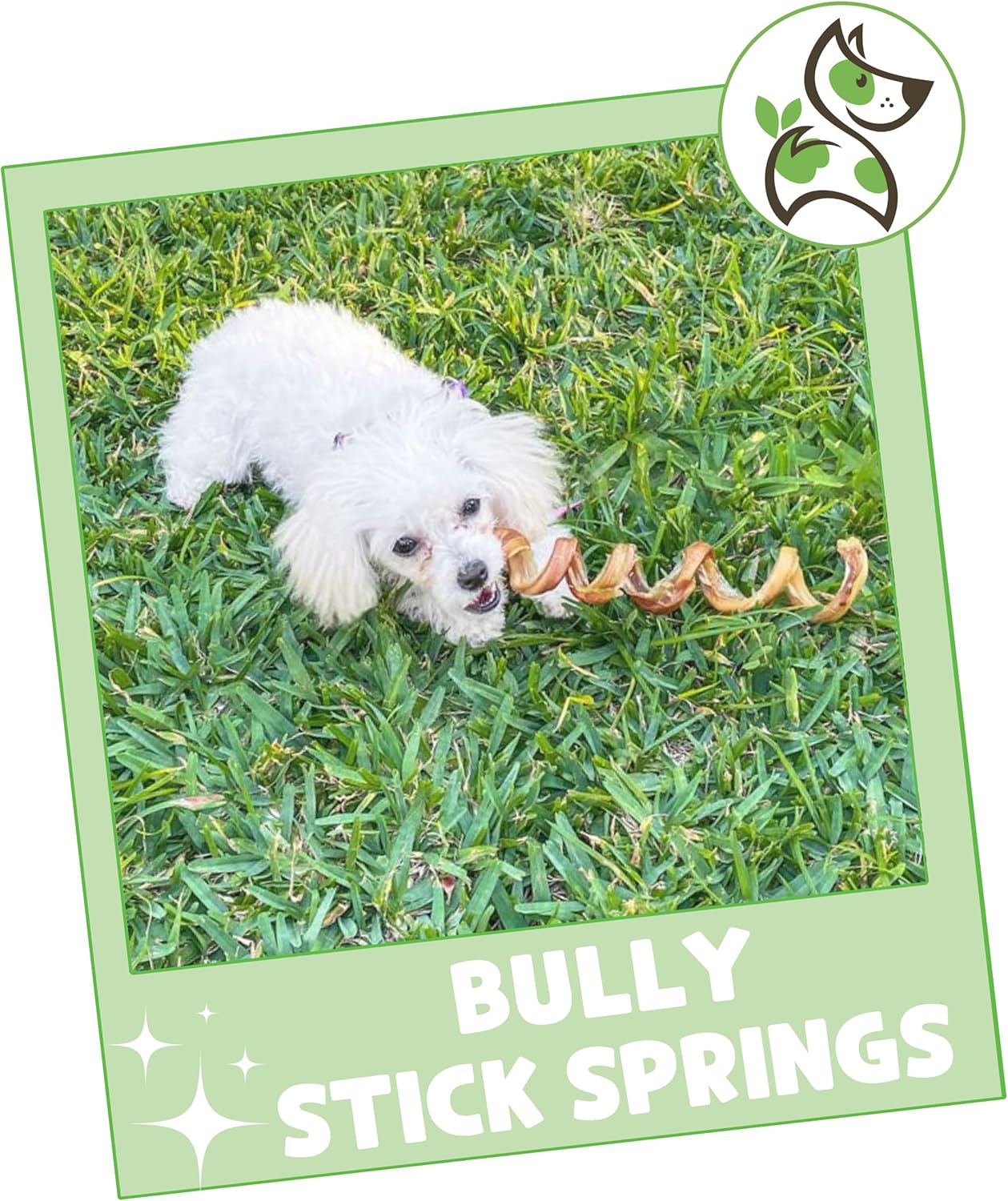 Nature Gnaws Bully Stick Springs for Dogs 7-8″ (6 Count) – Long Lasting for Aggressive Chewers – Natural Curly Beef Dog Chew Bones – Rawhide Free