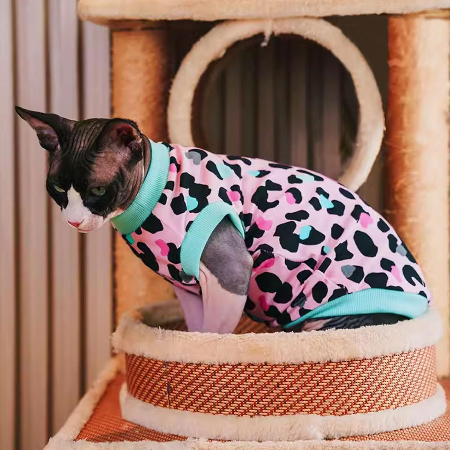 PUMYPOREITY Sphynx Cat Clothes, Stretchy Cat Sweater, Soft Hairless Cats Shirt, Pullover Cat Pajamas, Cat Turtleneck for Sphynx Cornish Rex, Devon Rex, Pink, M