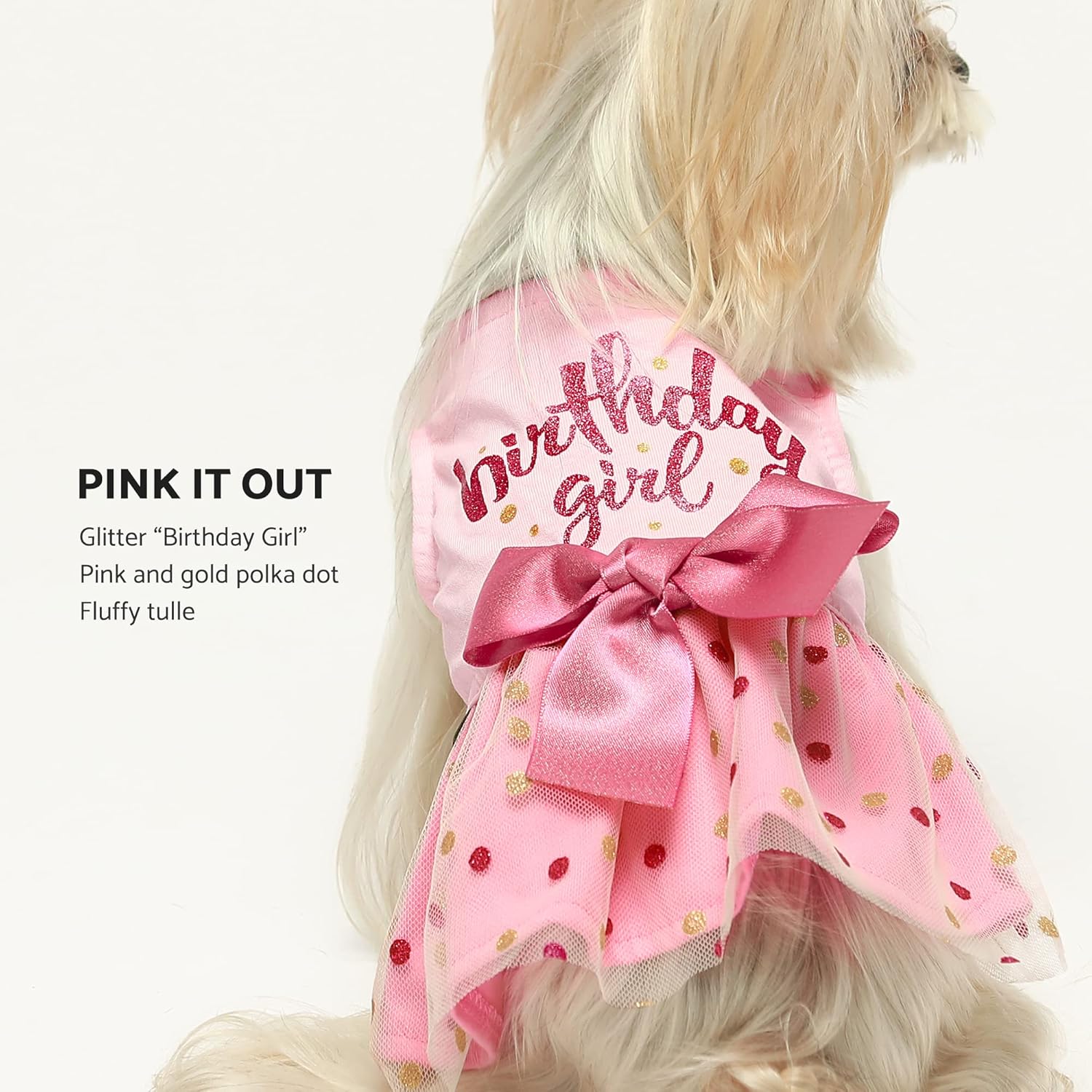 Fitwarm Birthday Girl Dog Tulle Dress, Dog Clothes for Small Dogs Girl, Cat Apparel, Pink, Large