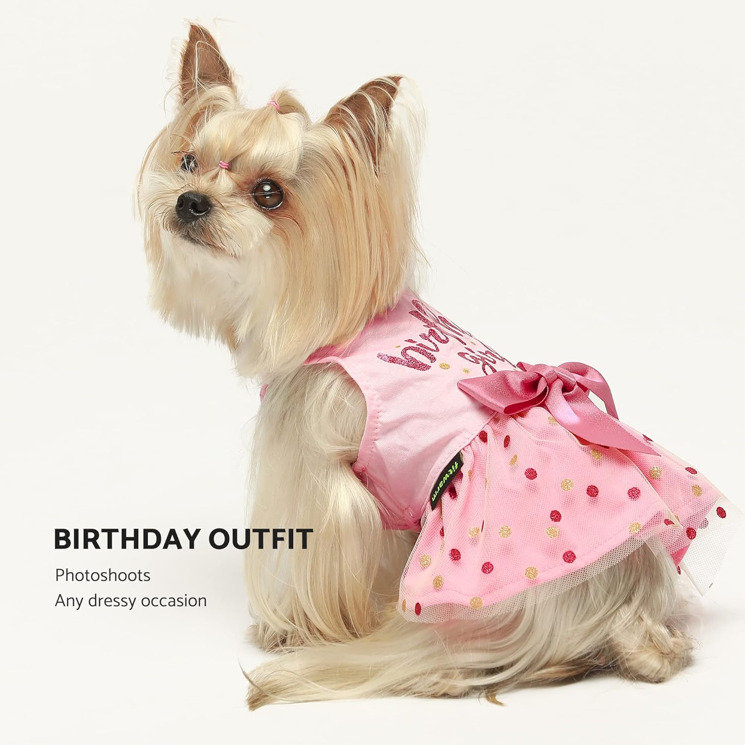 Fitwarm Birthday Girl Dog Tulle Dress, Dog Clothes for Small Dogs Girl, Cat Apparel, Pink, Large
