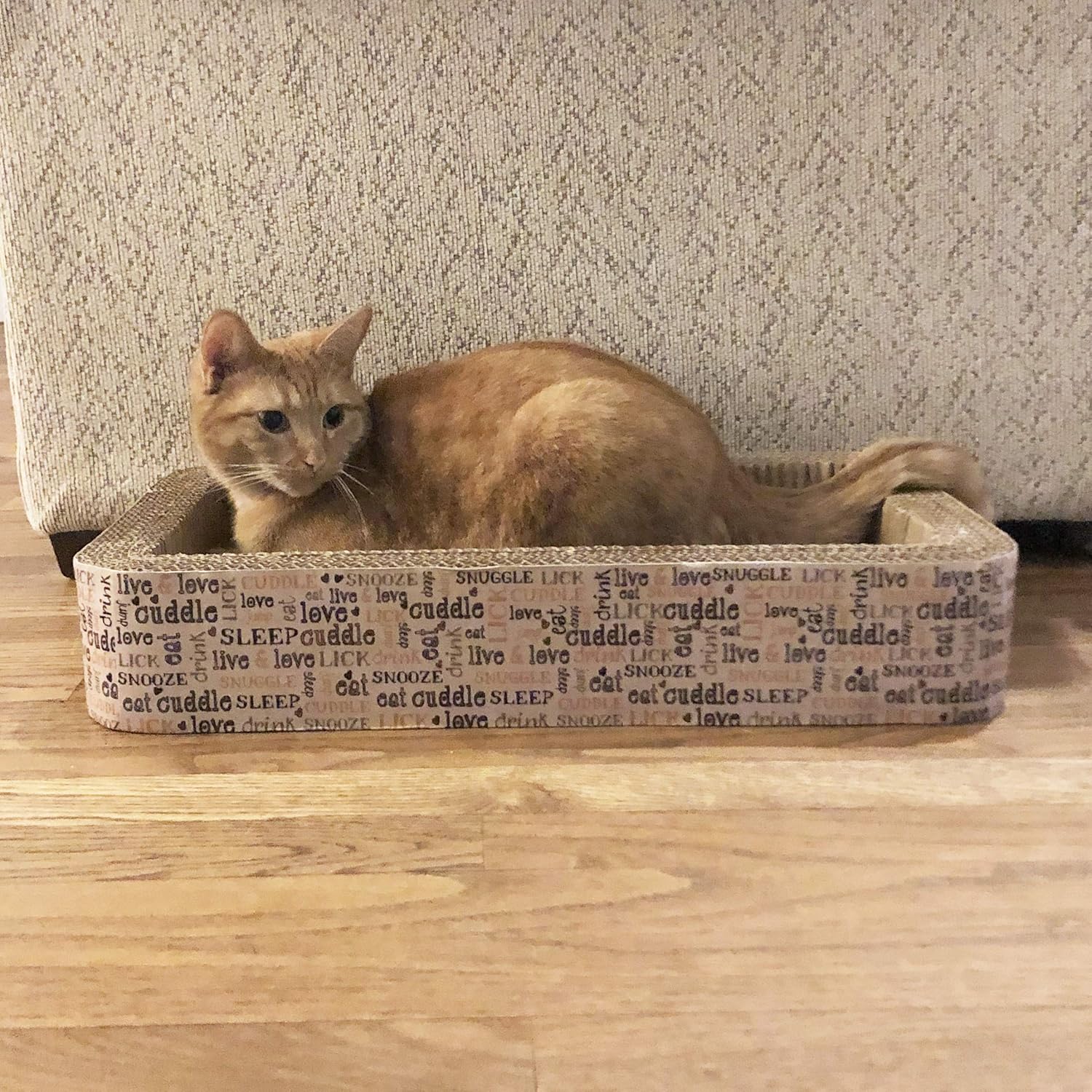 PetRageous 13081 Rectangular Corrugated Cat Lounge Scratcher 20-Inch Long 12-Inch Wide 3.5-Inch Tall with Cat Nip for Cats, Multicolored