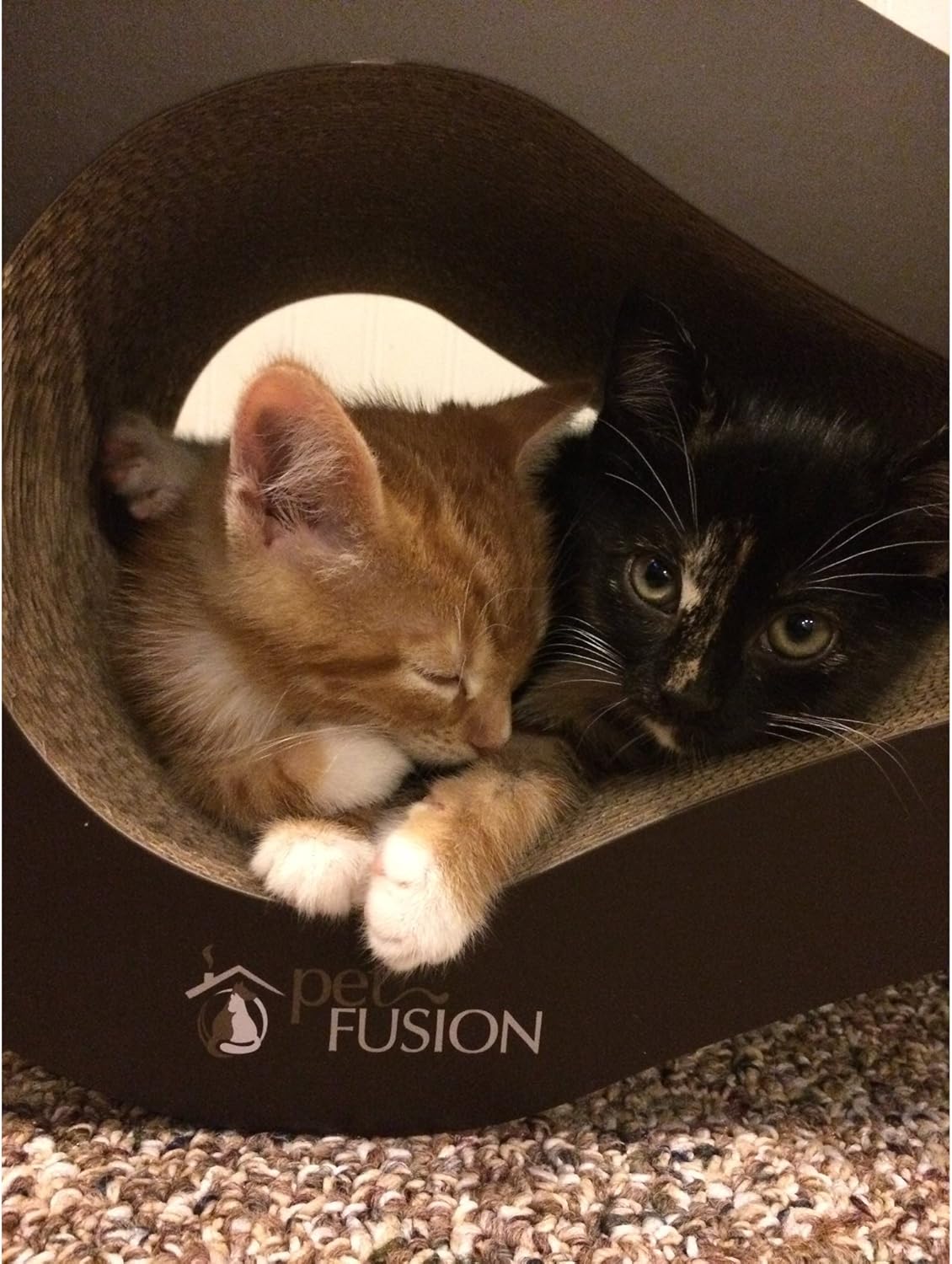 PetFusion Ultimate Cat Scratch Lounge, Cat Scratchers for Indoor Cats, Reversible & Durable, Made from Recycled Corrugated Cardboard, Walnut Brown