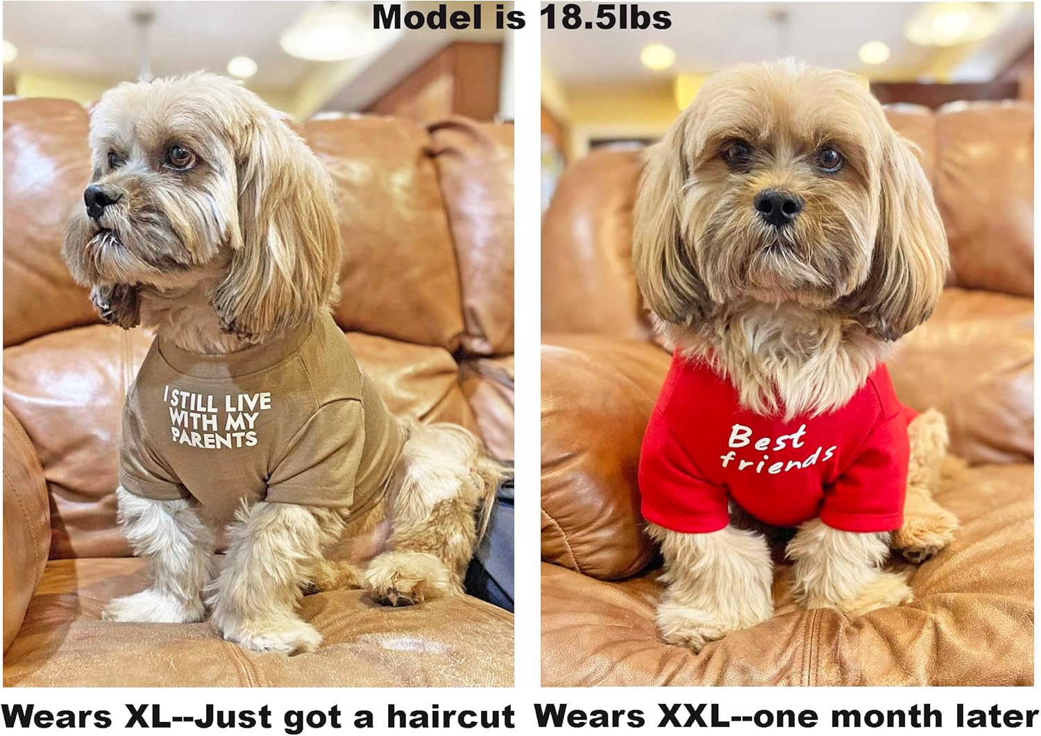 Cute Dog Clothes,Dog T Shirt for Medium Dogs.Dog Clothes for Small Dogs Girl Boy,Puppy.Breathable Soft Dog Costume Pet Dogs Cats,Pet Pullover Jumper,Cat Clothes (L-(10~17lb), Chest~18″, Red, Parents)