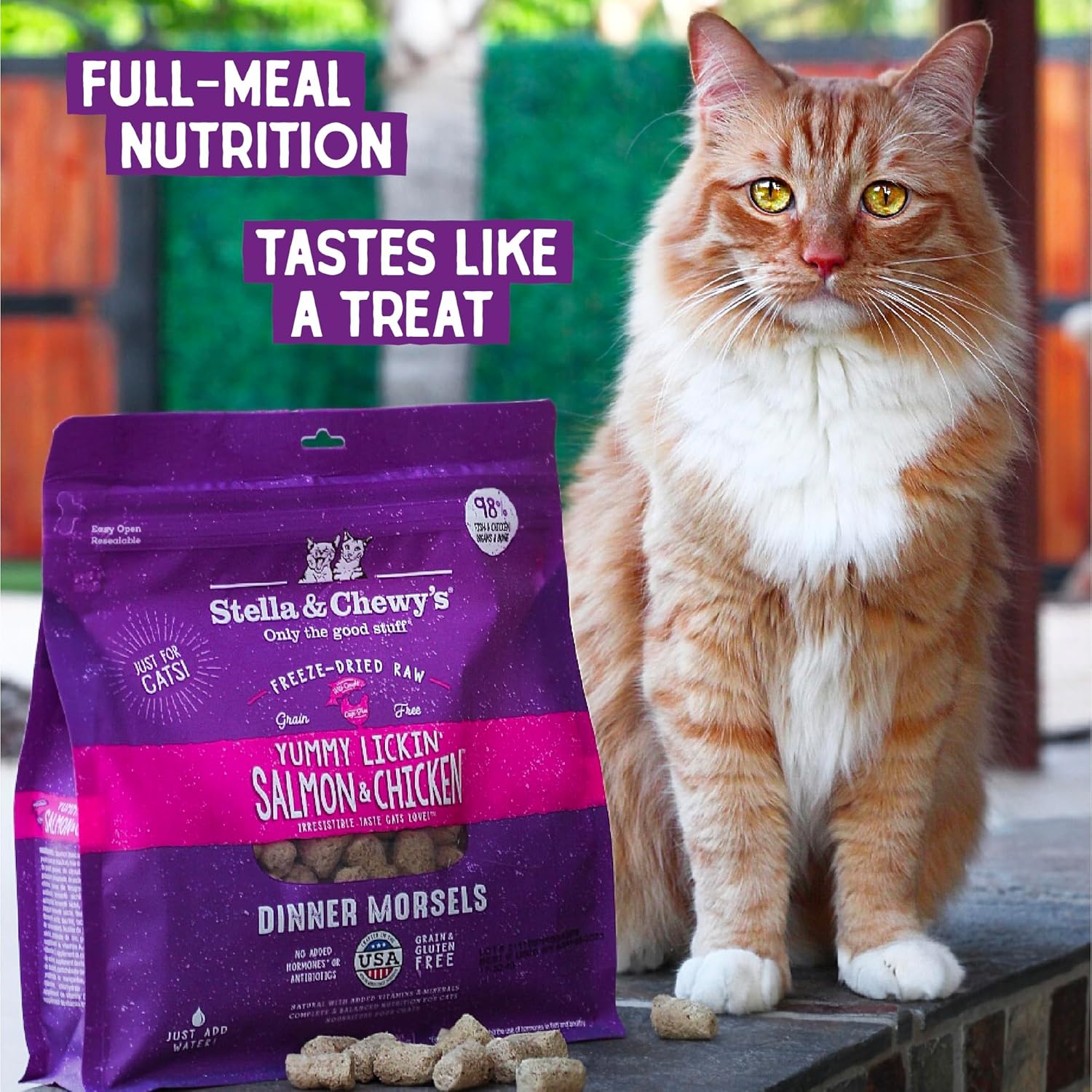 Stella & Chewy’s Freeze-Dried Raw Cat Dinner Morsels – Grain Free, Protein Rich Cat & Kitten Food – Yummy Lickin’ Salmon & Chicken Recipe – 18 oz Bag