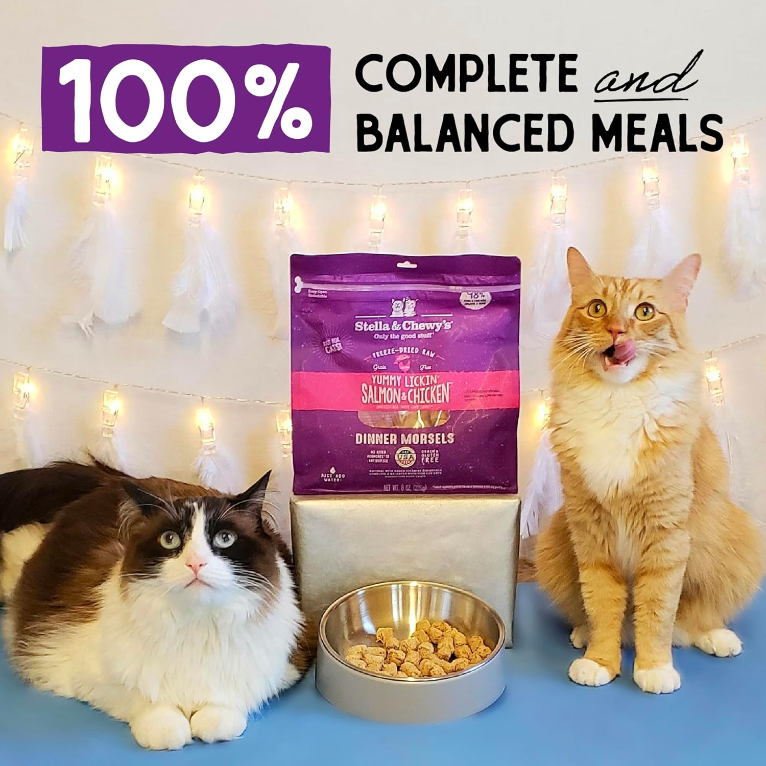 Stella & Chewy’s Freeze-Dried Raw Cat Dinner Morsels – Grain Free, Protein Rich Cat & Kitten Food – Yummy Lickin’ Salmon & Chicken Recipe – 18 oz Bag