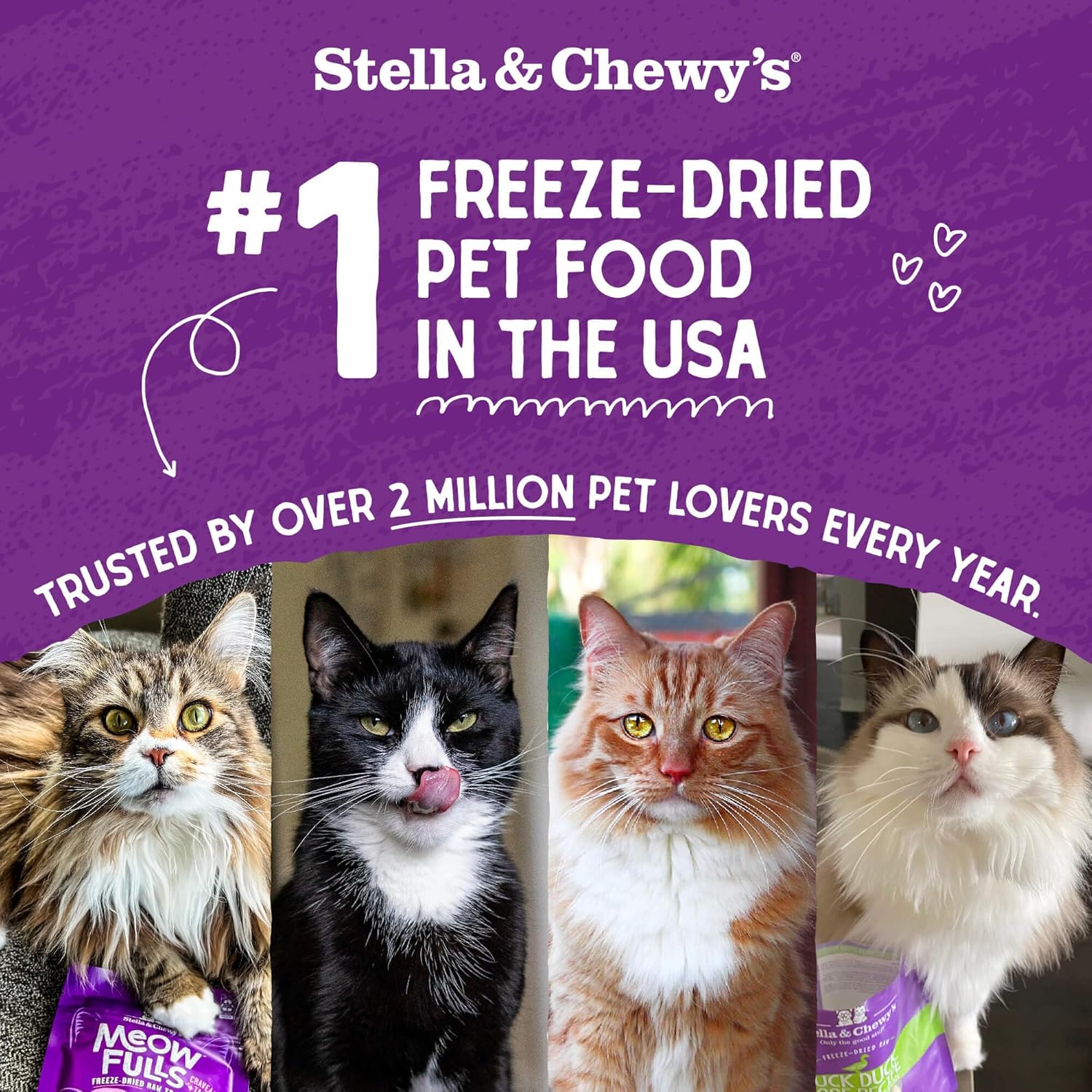 Stella & Chewy’s Freeze-Dried Raw Cat Dinner Morsels – Grain Free, Protein Rich Cat & Kitten Food – Chick Chick Chicken Recipe – 3.5 oz Bag