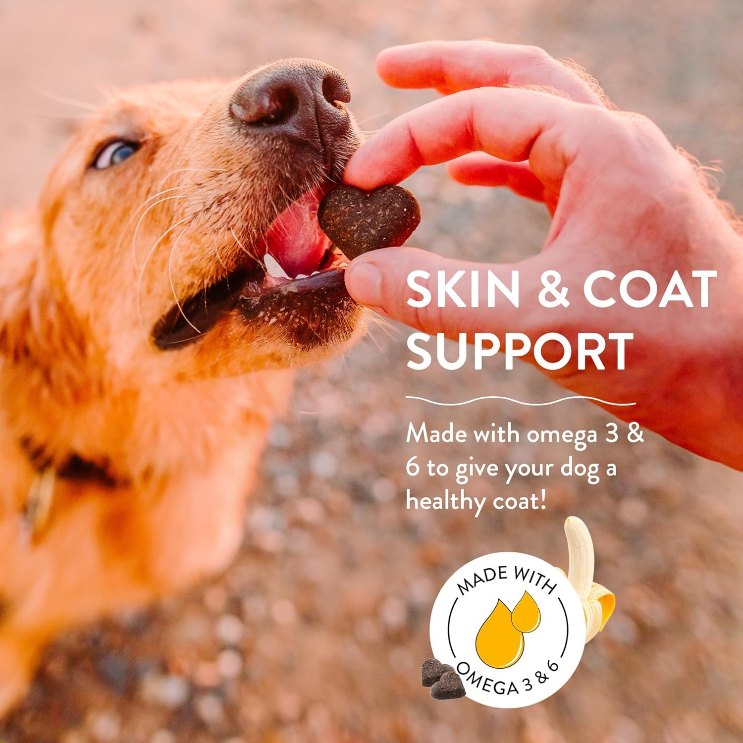 Shameless Pets Soft-Baked Dog Treats, Bananas for Bacon – Natural & Healthy Dog Chews for Skin & Coat Support with Omega 3 & 6 – Dog Biscuits Baked & Made in USA, Free from Grain, Corn & Soy – 1-Pack