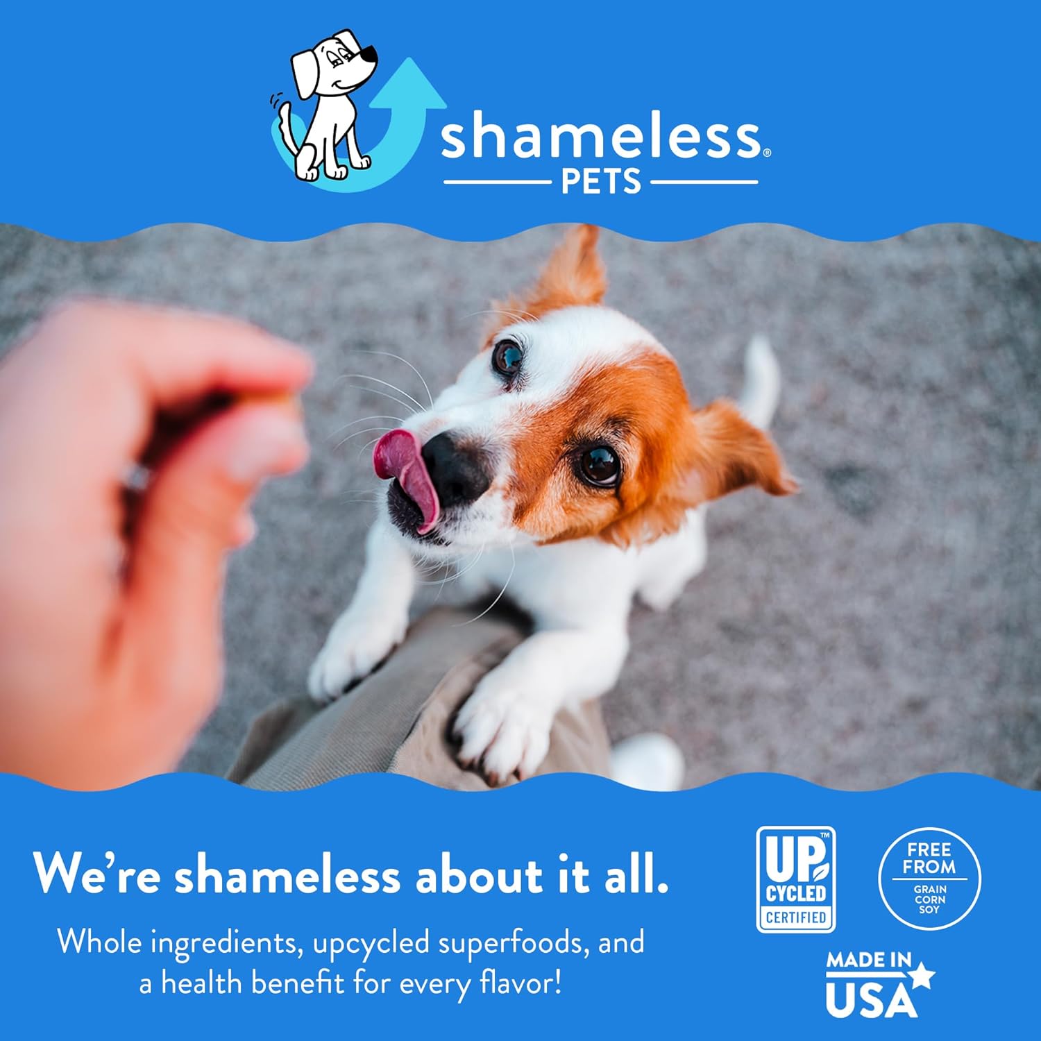 Shameless Pets Soft-Baked Dog Treats, Bananas for Bacon – Natural & Healthy Dog Chews for Skin & Coat Support with Omega 3 & 6 – Dog Biscuits Baked & Made in USA, Free from Grain, Corn & Soy – 1-Pack