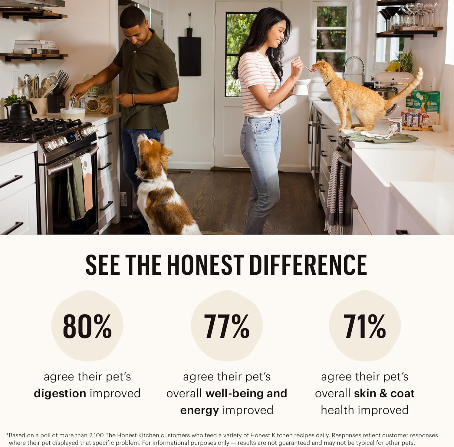 The Honest Kitchen Whole Food Clusters Grain Free Turkey & Chicken Dry Cat Food, 1 lb Trial Pouch
