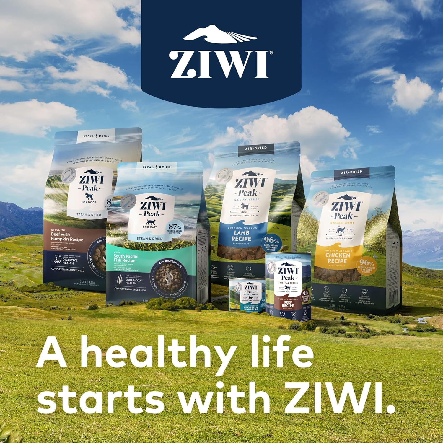 ZIWI Peak Air-Dried Cat Food – Chicken – All Natural, High Protein, Grain Free, Limited Ingredient w/ Superfoods (14oz)