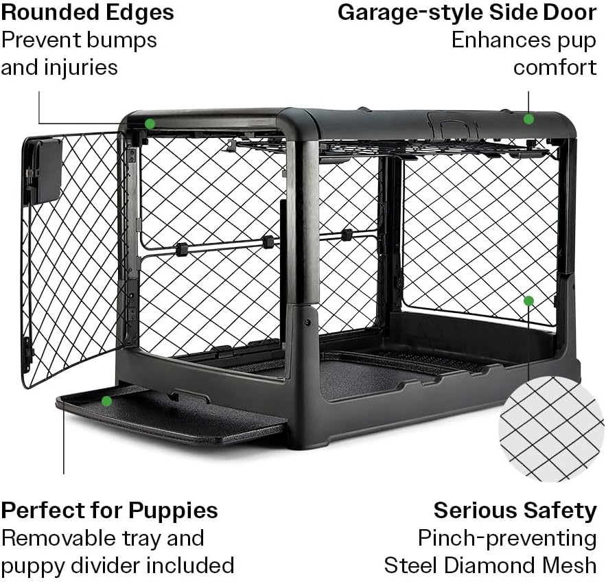 DIGGS Revol Collapsible Dog Crate with Wheels – Premium Portable Dog Crate – Safe, Stylish, and Convenient Indoor Kennel (Charcoal, Medium)