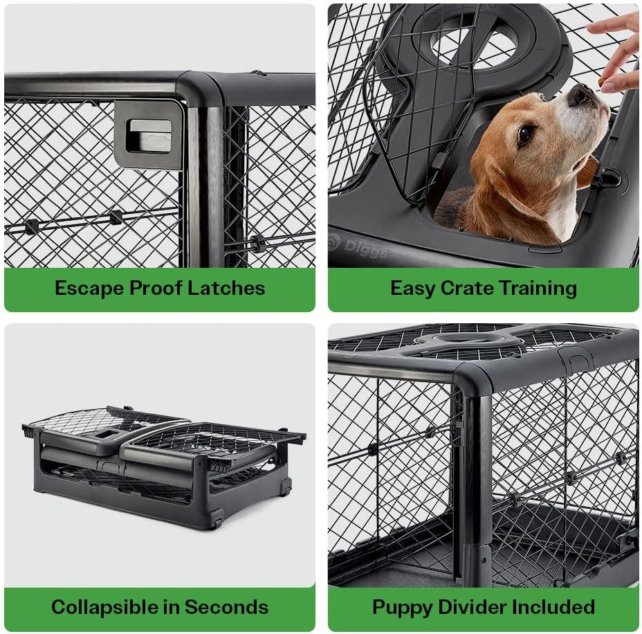 DIGGS Revol Collapsible Dog Crate with Wheels – Premium Portable Dog Crate – Safe, Stylish, and Convenient Indoor Kennel (Charcoal, Medium)