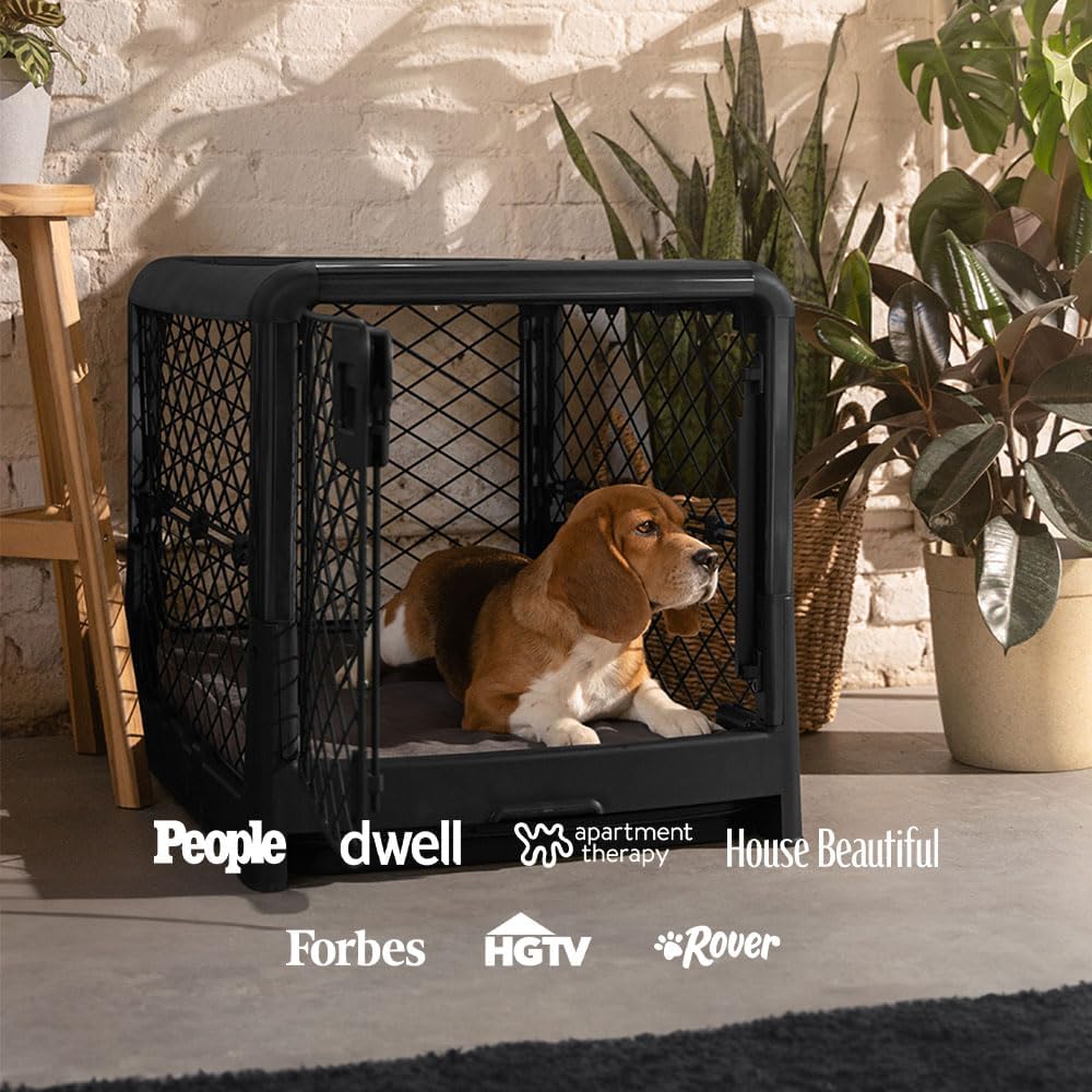 DIGGS Revol Collapsible Dog Crate with Wheels – Premium Portable Dog Crate – Safe, Stylish, and Convenient Indoor Kennel (Charcoal, Medium)