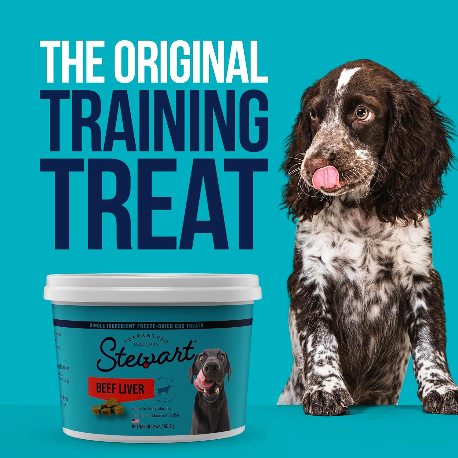 Stewart Freeze Dried Dog Treats, Beef Liver, Healthy, Natural, Single Ingredient, Grain Free Dog Treat, Liver Treats for Dogs, 14 Ounces, Resealable Tub