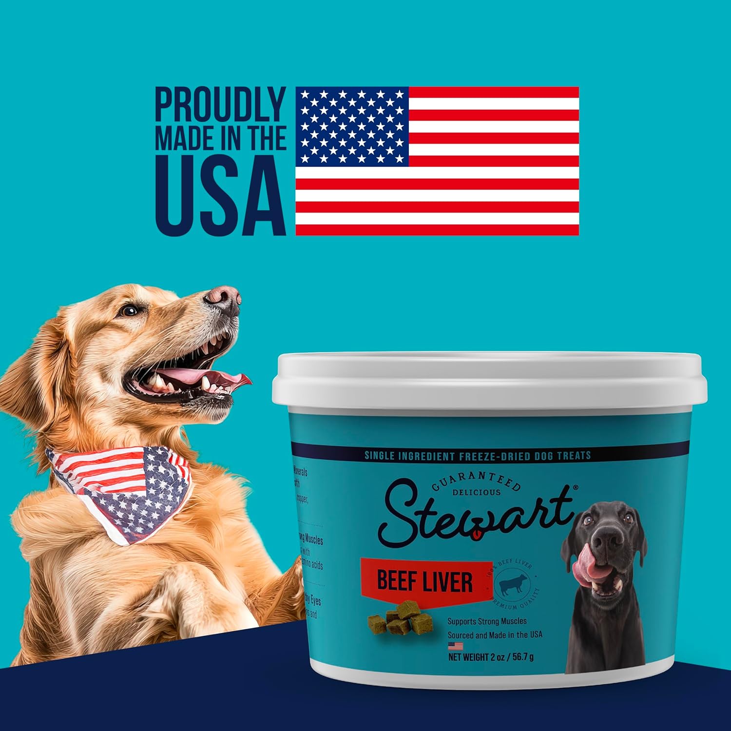 Stewart Freeze Dried Dog Treats, Beef Liver, Healthy, Natural, Single Ingredient, Grain Free Dog Treat, Liver Treats for Dogs, 14 Ounces, Resealable Tub