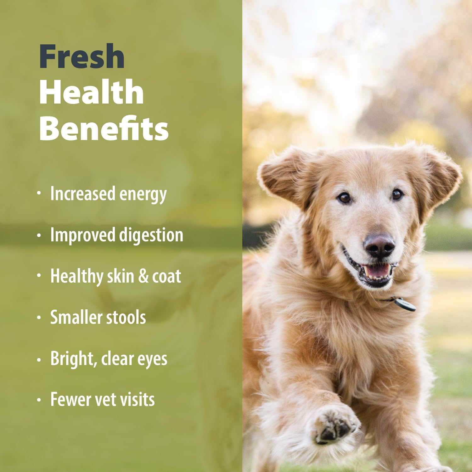JustFoodForDogs Frozen Fresh Dog Food, Complete Meal or Dog Food Topper, Beef & Russet Potato Human Grade Dog Food Recipe, 18 oz (Pack of 7)