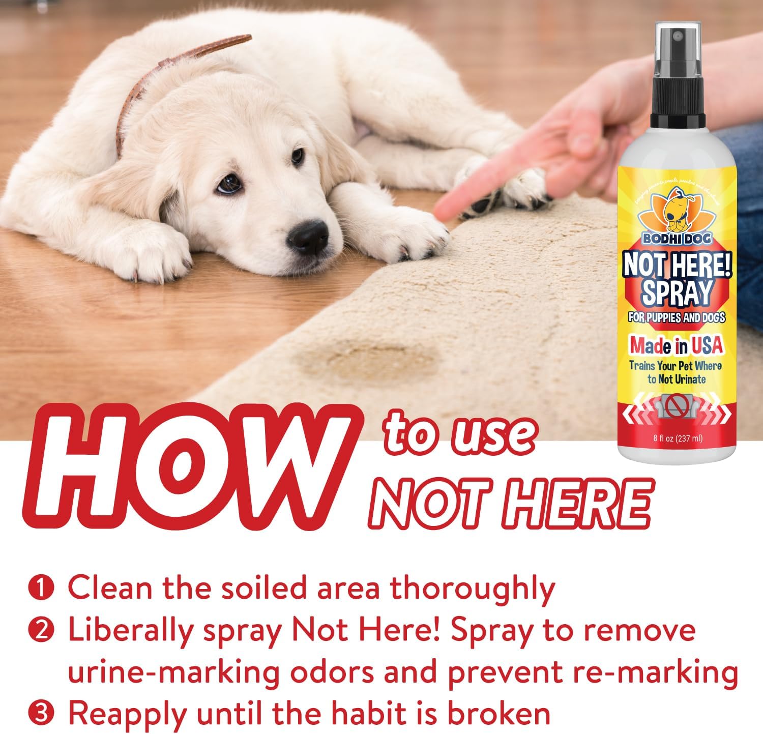 Bodhi Dog Not Here Spray – Trains Your Pet Where Not to Pee Indoors or Outdoors – Anti Marking Deterrent for Furniture, Carpet and Floor – Training Corrector for Puppies & Dogs – Made in USA (8 Fl Oz)