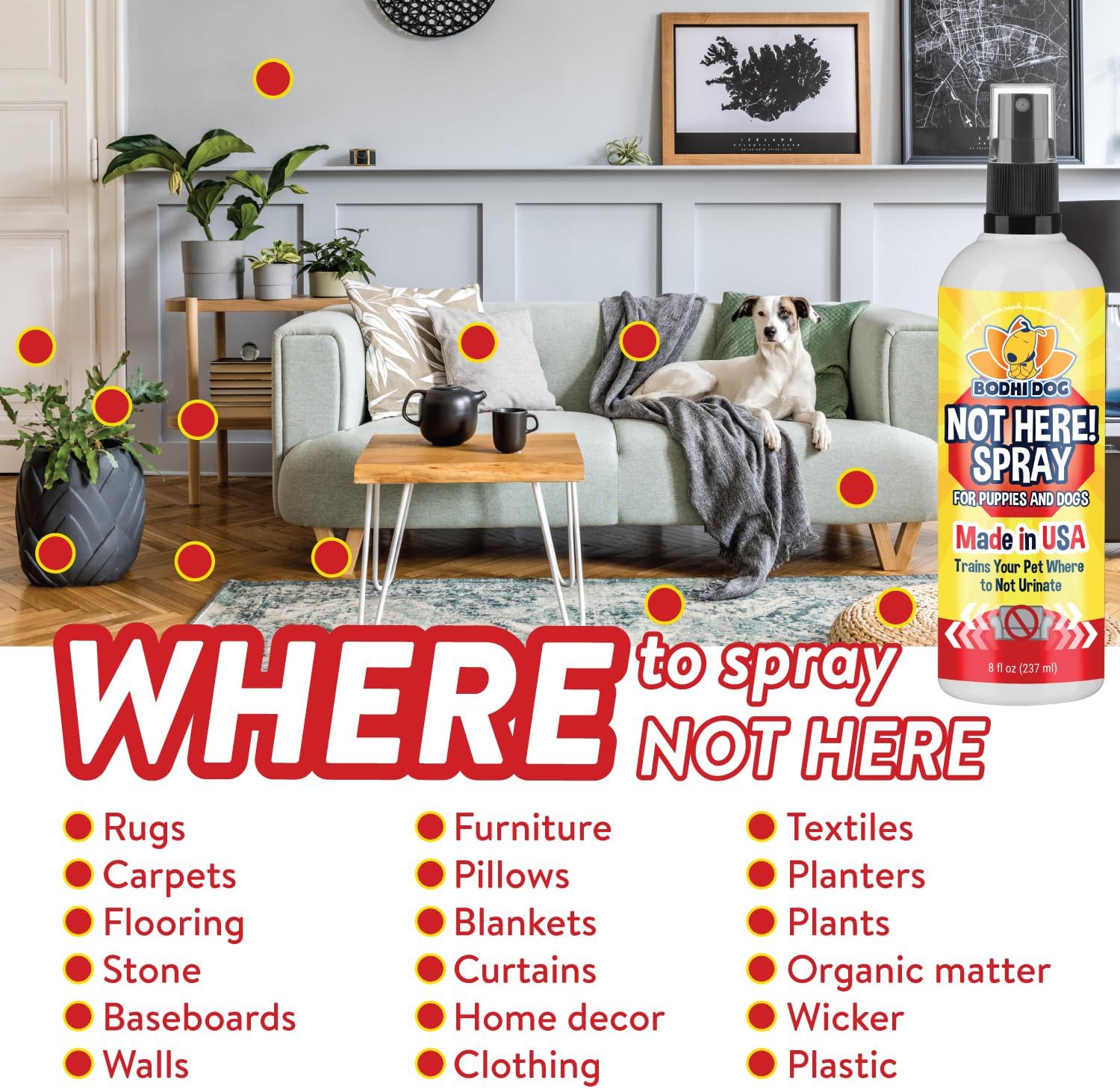 Bodhi Dog Not Here Spray – Trains Your Pet Where Not to Pee Indoors or Outdoors – Anti Marking Deterrent for Furniture, Carpet and Floor – Training Corrector for Puppies & Dogs – Made in USA (8 Fl Oz)