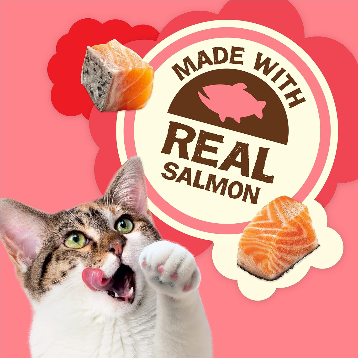 Purina Friskies Natural Cat Treats Party Mix Natural Yums With Real Salmon and Added Vitamins, Minerals and Nutrients – 20 Oz. Canister