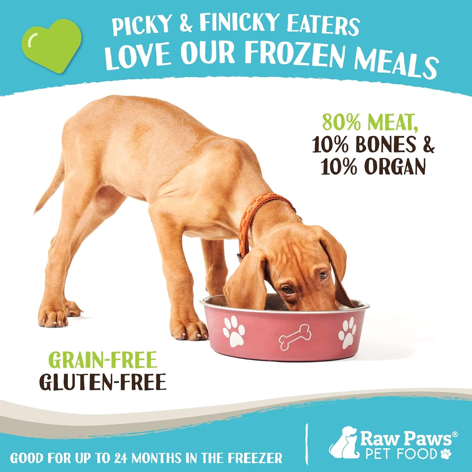 Raw Paws Signature Blend Pet Food for Dogs & Cats – Beef Recipe, 1-lb Rolls (10 Pack) – Fresh Pet Food Made in USA, Grass-Fed Beef Dog Food Log, Natural Dog Food Rolls, Raw Frozen Dog Food & Cat Food