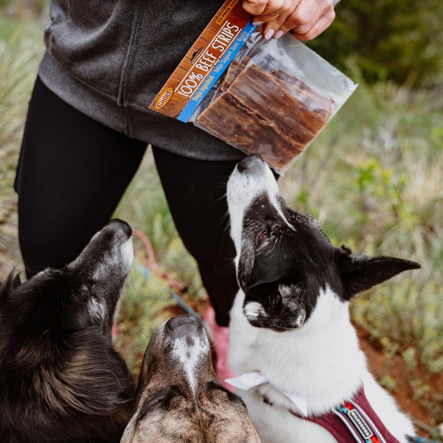 Cadet 100% Beef Strips Dog Chew Sticks, Long-Lasting Single-Ingredient Natural Treats, High-Protein, Perfect for Small & Large Breeds, 8 oz
