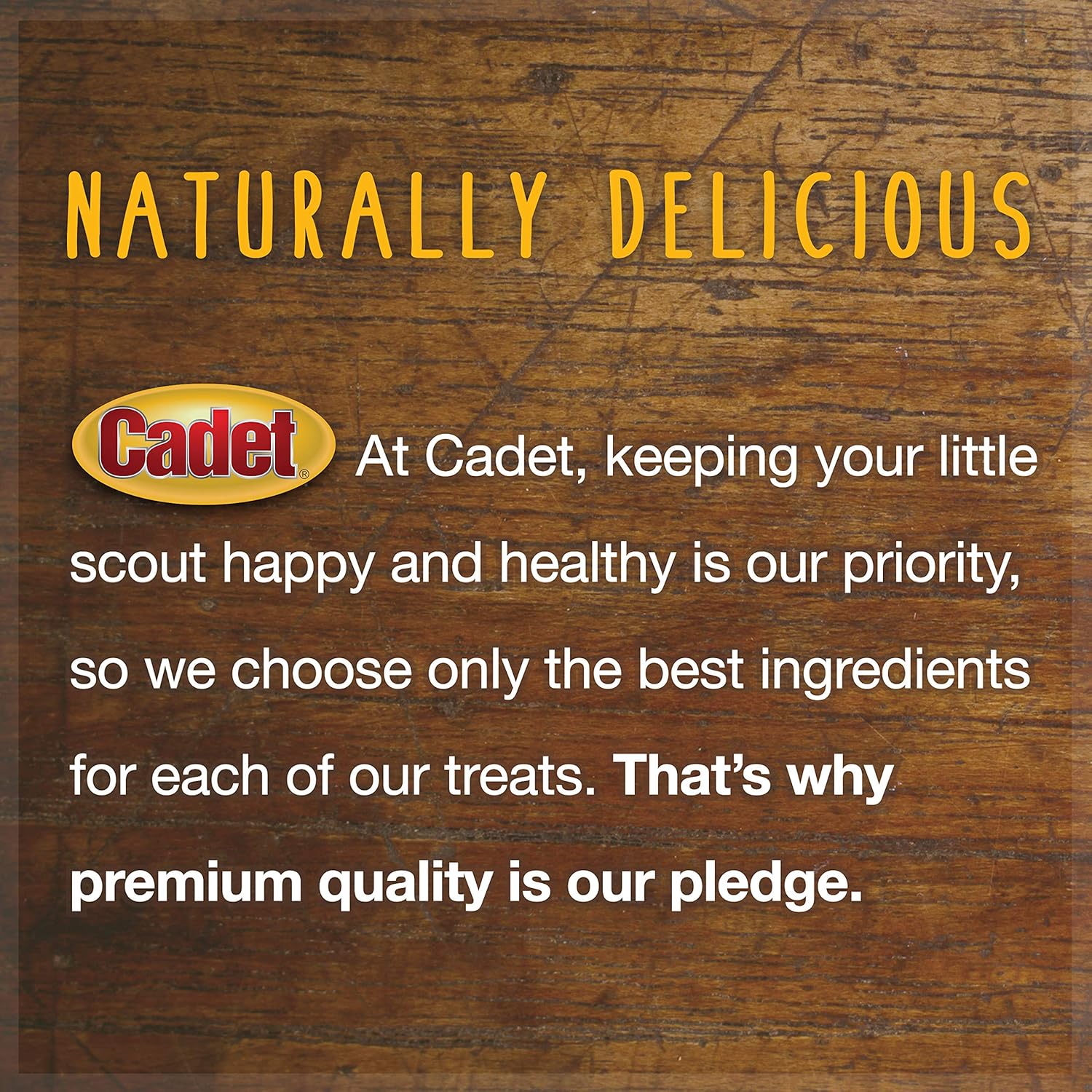 Cadet 100% Beef Strips Dog Chew Sticks, Long-Lasting Single-Ingredient Natural Treats, High-Protein, Perfect for Small & Large Breeds, 8 oz