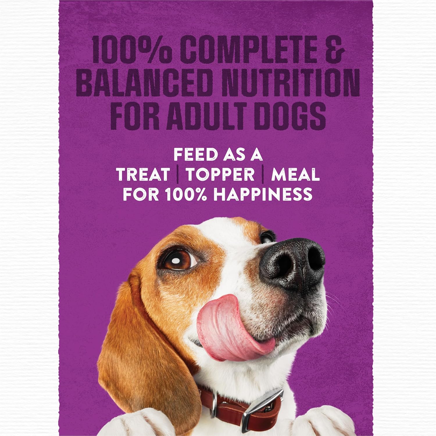 Purina Moist and Meaty Dog Food Chopped Burger Soft Dog Food Pouches – 36 ct. Pouch