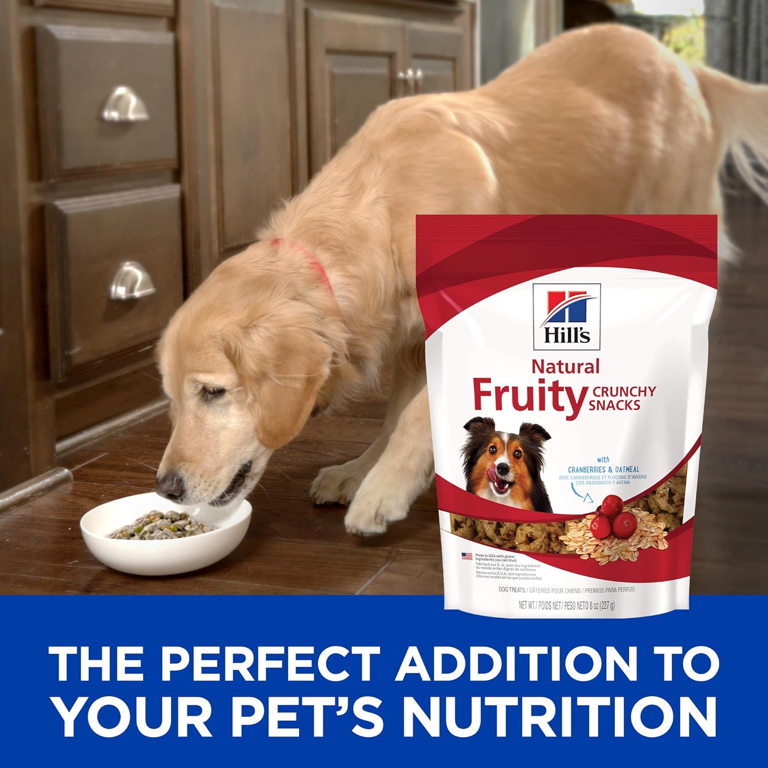 Hill’s Natural Fruity Crunchy Snacks, All Life Stages, Great Taste, Dog Treats, Cranberries & Oatmeal , 8 oz Bag