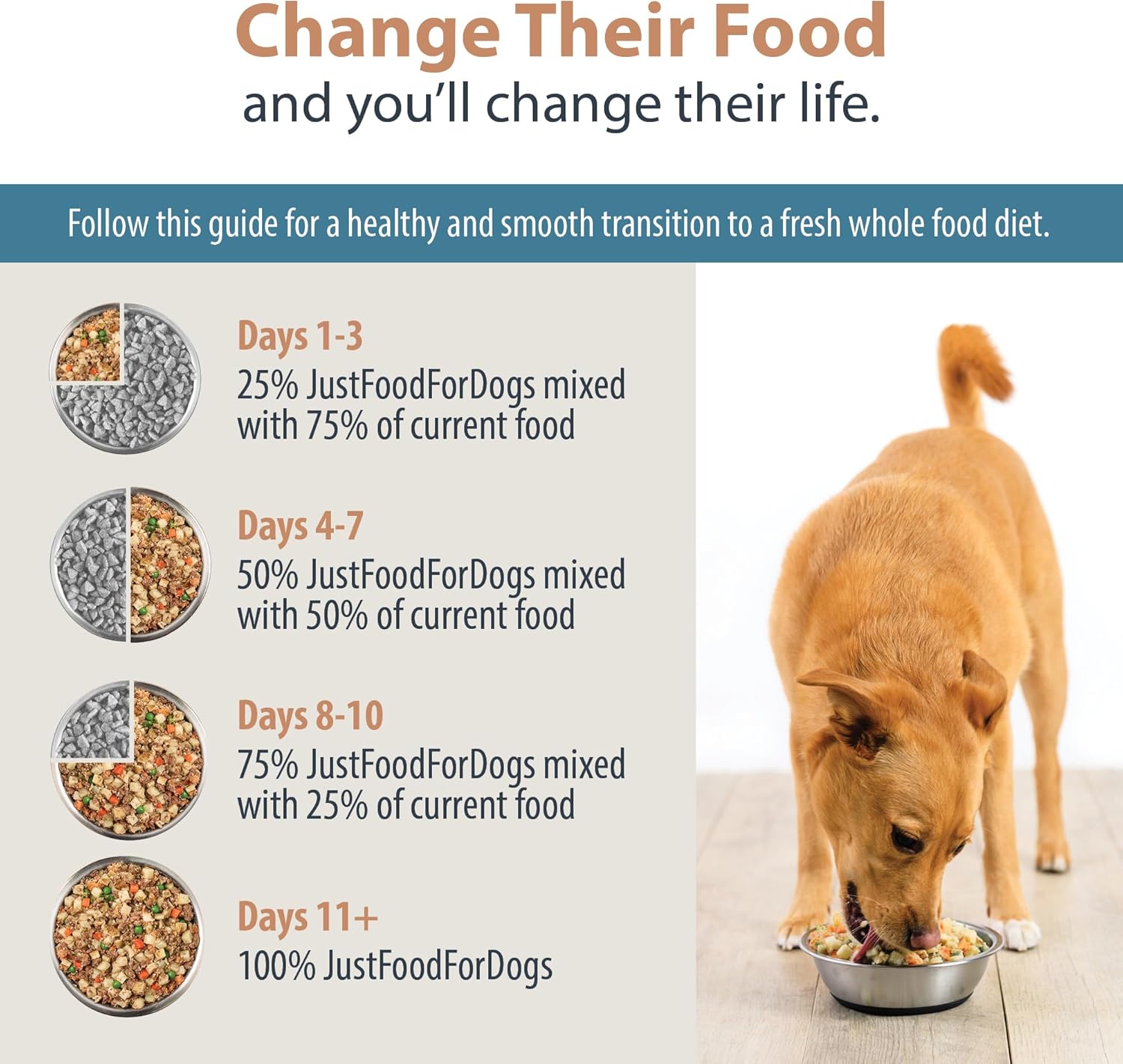 JustFoodForDogs Frozen Fresh Dog Food Topper Starter Pack, Beef & Turkey Human Grade Dog Food Recipes, 5.5 oz (Pack of 9)