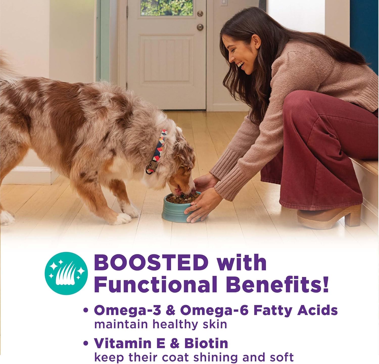 Wellness CORE Bowl Boosters Skin & Coat Dog Food Topper, 4 Ounce Bag