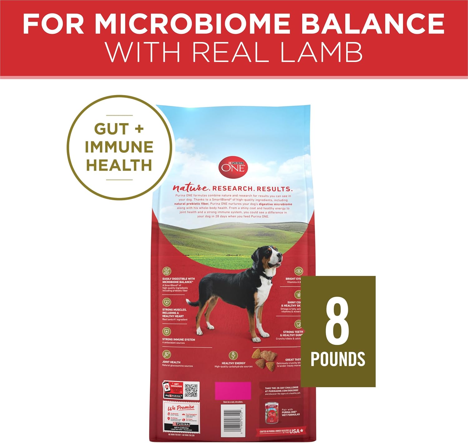 Purina ONE Dry Dog Food Lamb and Rice Formula – 8 lb. Bag