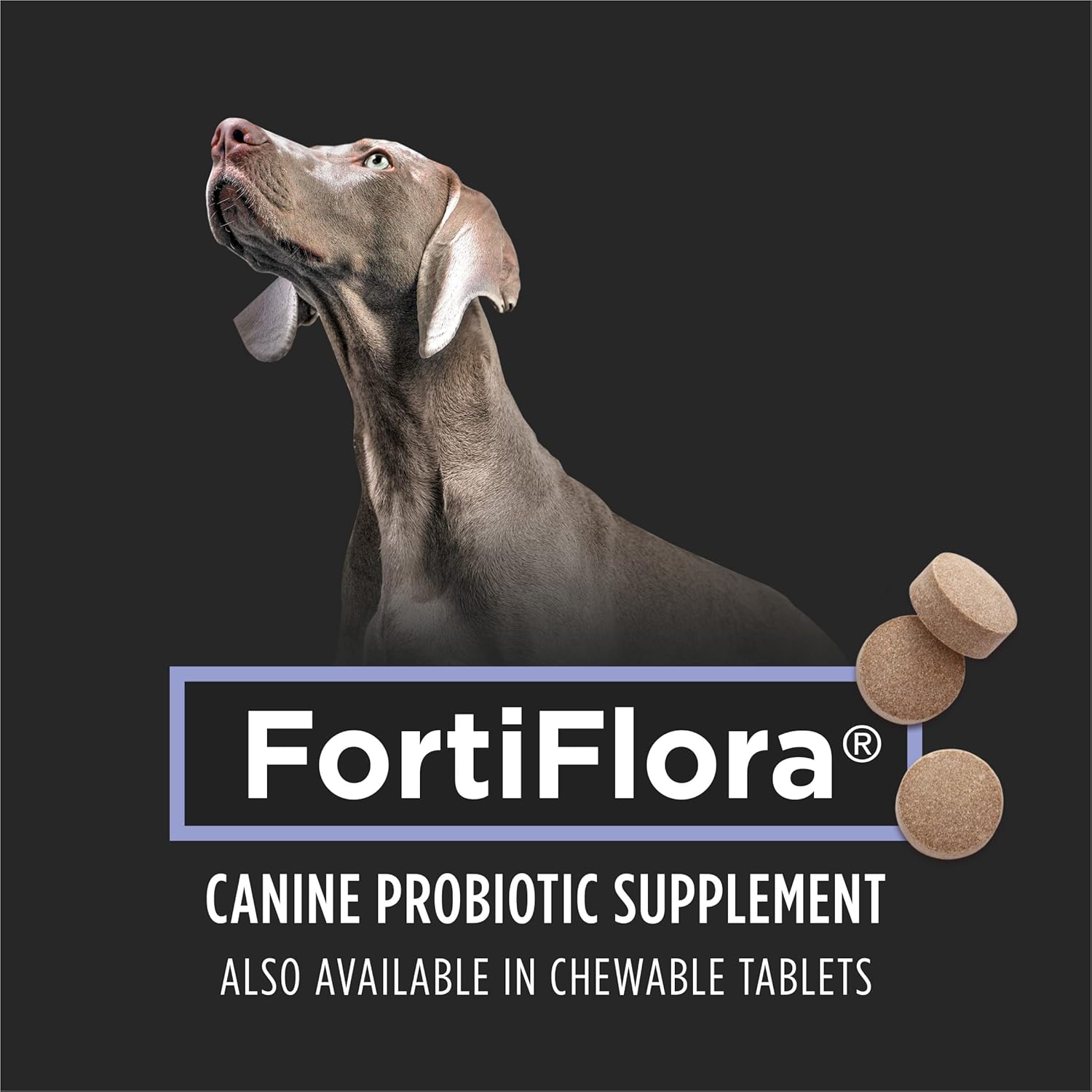 Purina Pro Plan Veterinary Supplements FortiFlora Dog Probiotic Supplement, Canine Nutritional Supplement – 30 Ct. Box