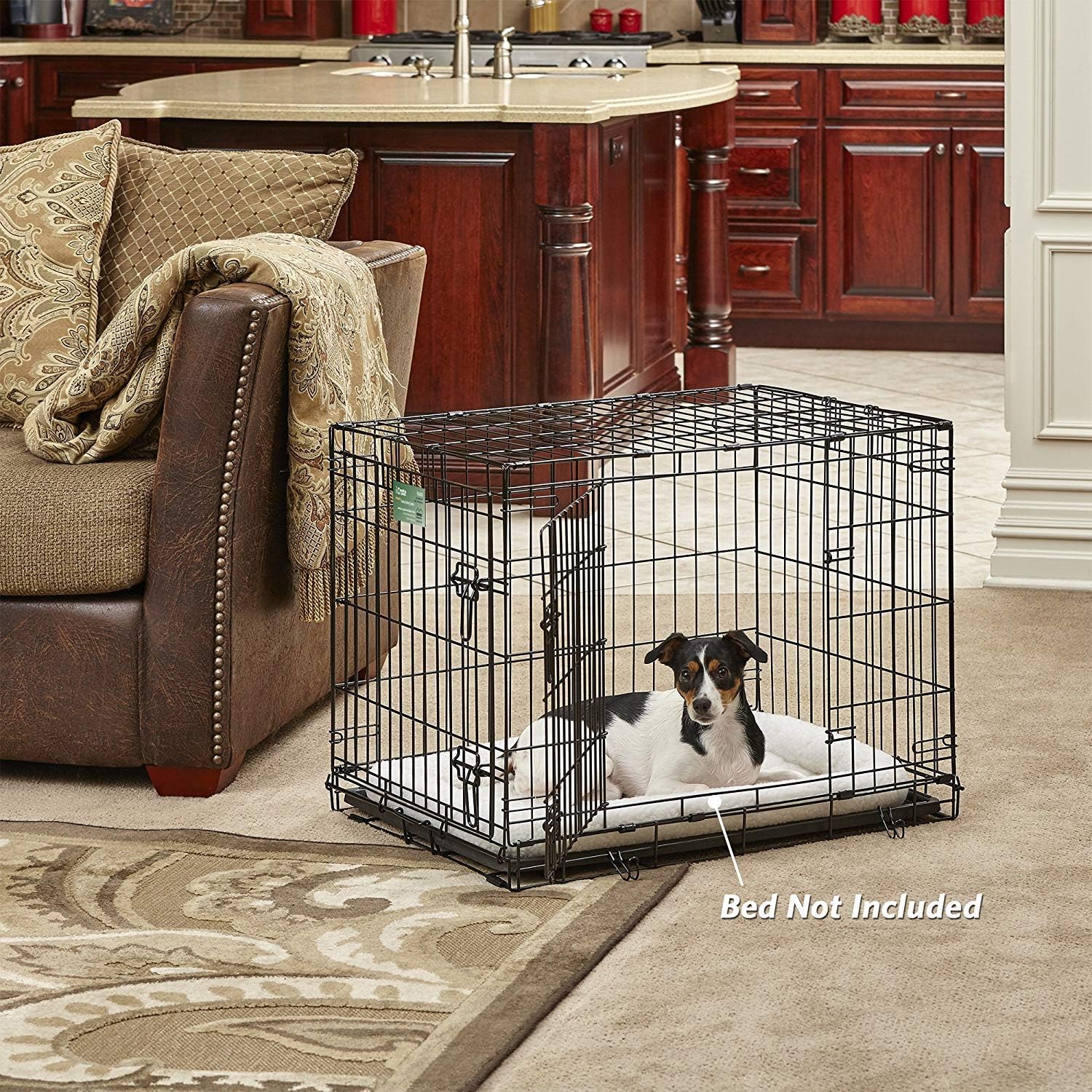 MidWest Homes for Pets Newly Enhanced Double Door iCrate Dog Crate, Includes Leak-Proof Pan, Floor Protecting Feet, Divider Panel & New Patented Features