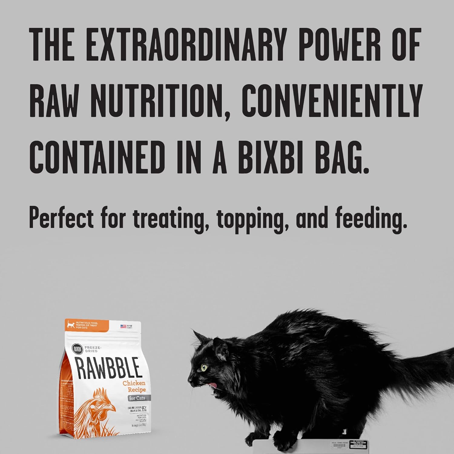 BIXBI Rawbble Freeze Dried Cat Food, Chicken Recipe, 3.5 oz – 95% Organs and Bone Raw Cat Food – USA Made