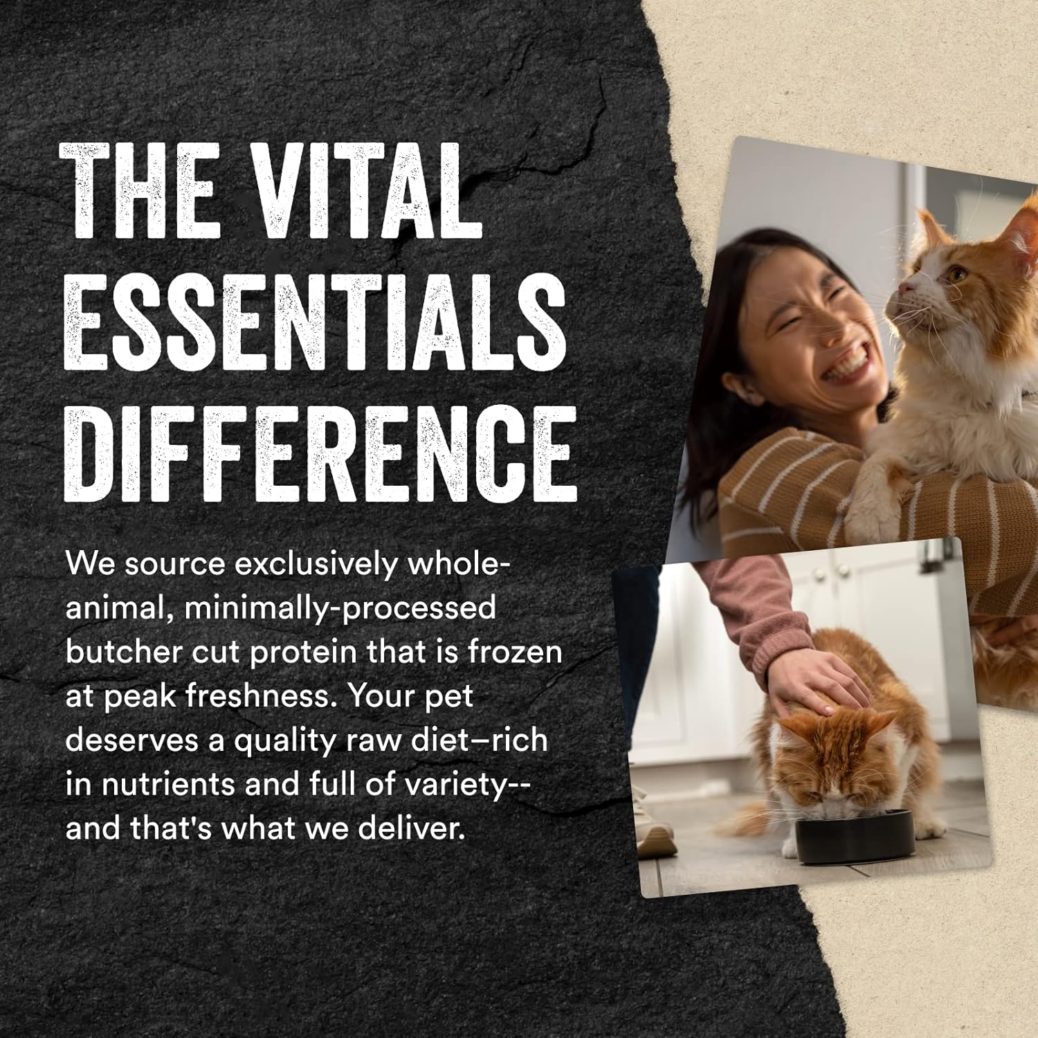 Vital Essentials Freeze Dried Raw Cat Treats, Rabbit Bites, 0.9 oz