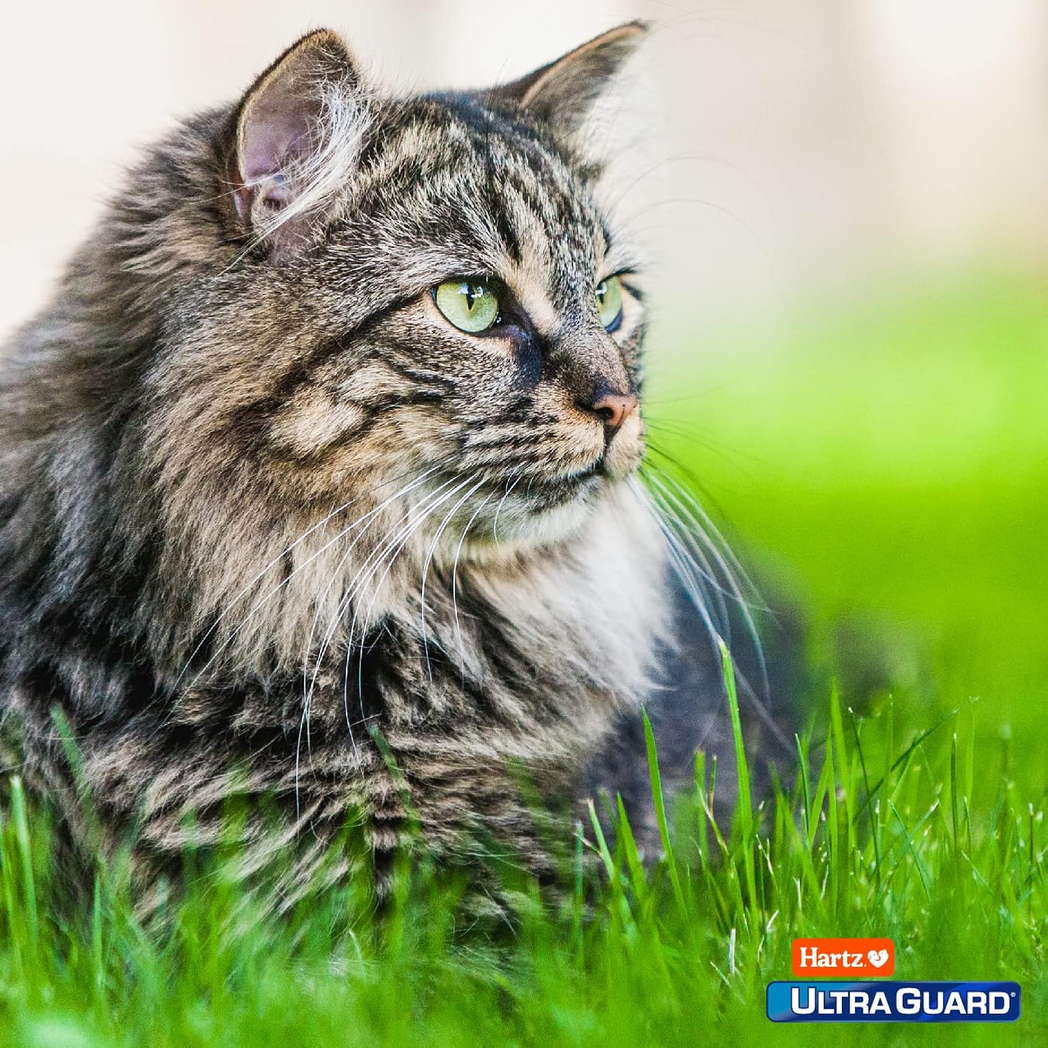 Hartz UltraGuard Topical Flea & Tick Prevention for Cats and Kittens – 3 Monthly Treatments