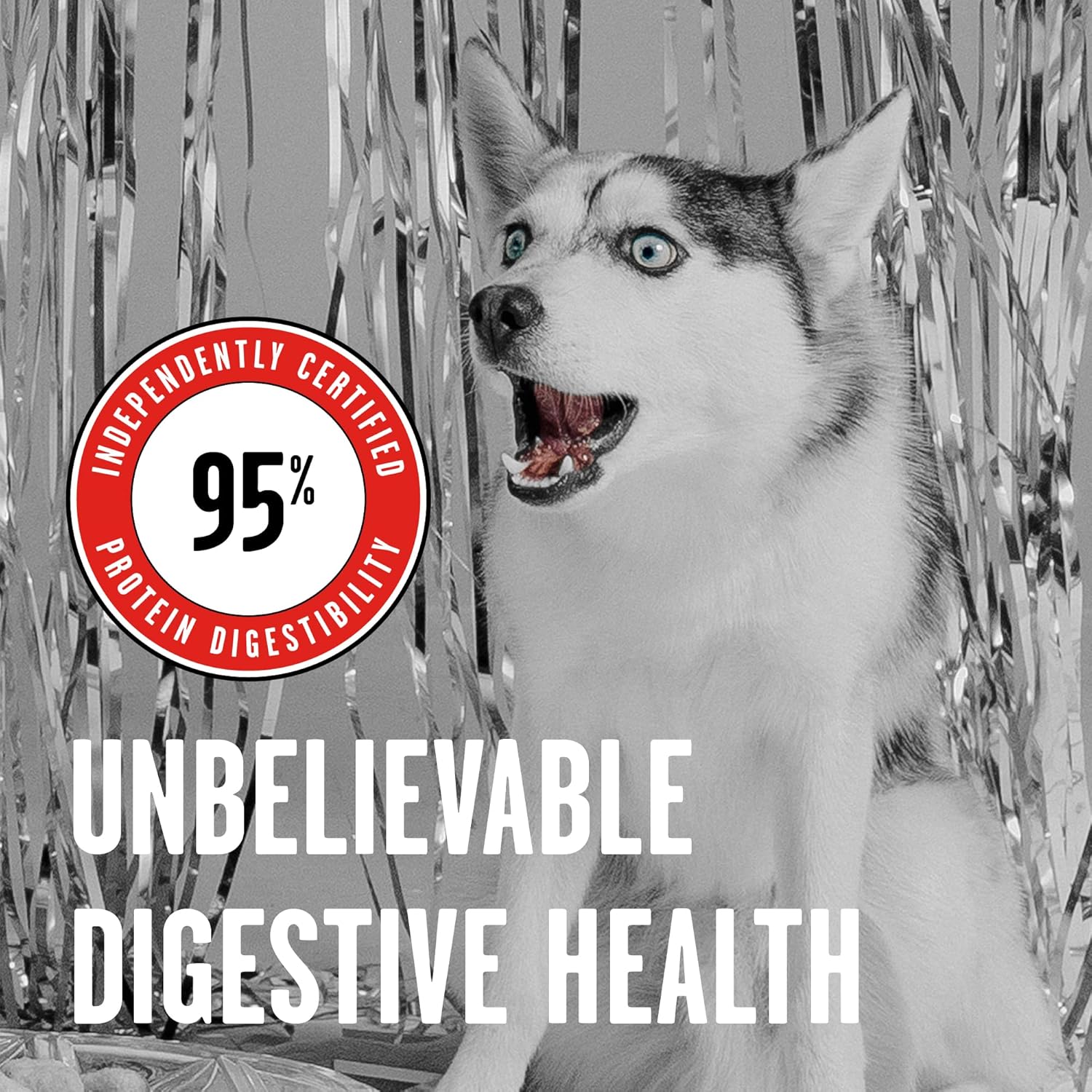 BIXBI Rawbble Freeze Dried Dog Food, Beef Recipe, 12 oz – 98% Meat and Organs, No Fillers – Pantry-Friendly Raw Dog Food for Meal, Treat or Food Topper – USA Made in Small Batches