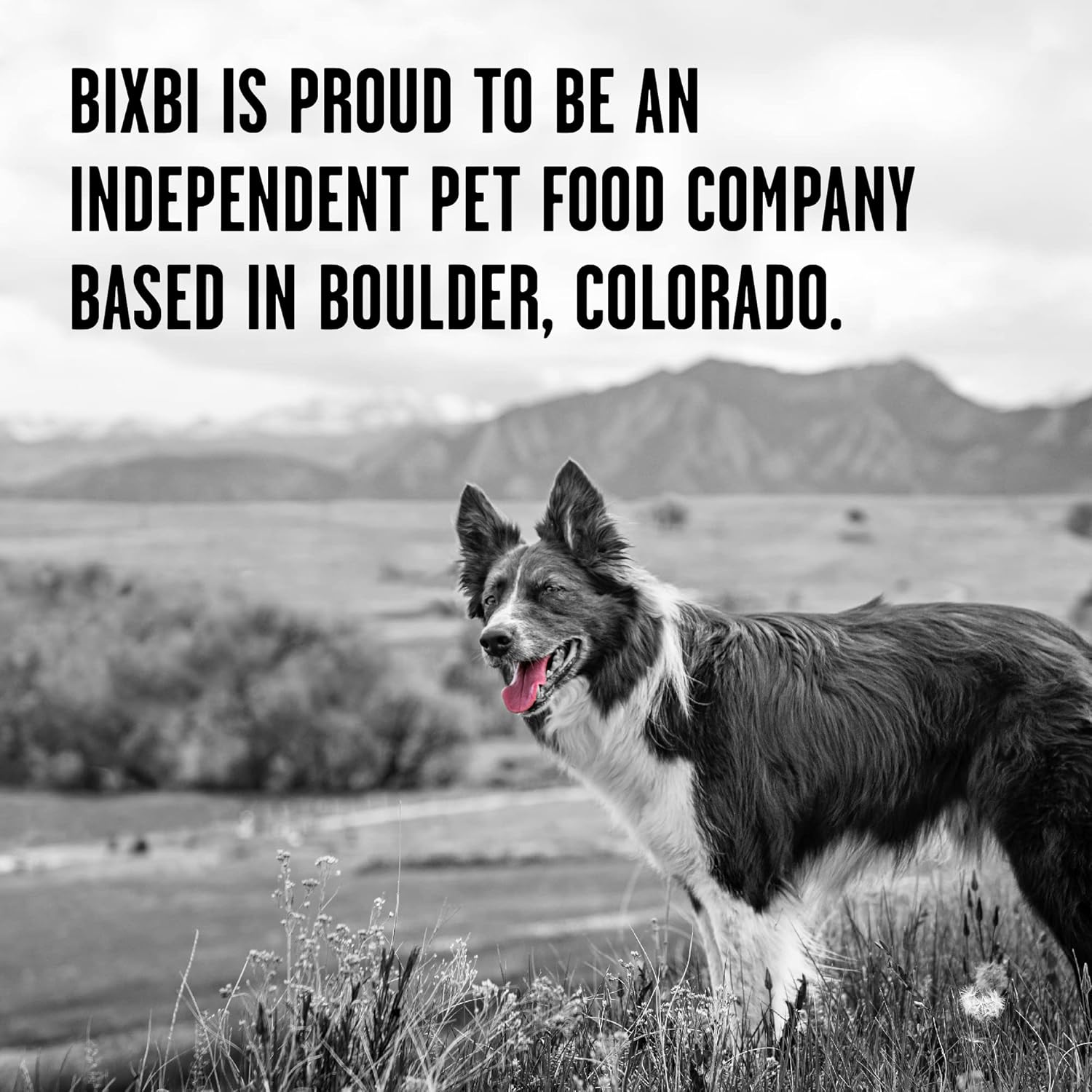BIXBI Rawbble Freeze Dried Dog Food, Beef Recipe, 12 oz – 98% Meat and Organs, No Fillers – Pantry-Friendly Raw Dog Food for Meal, Treat or Food Topper – USA Made in Small Batches