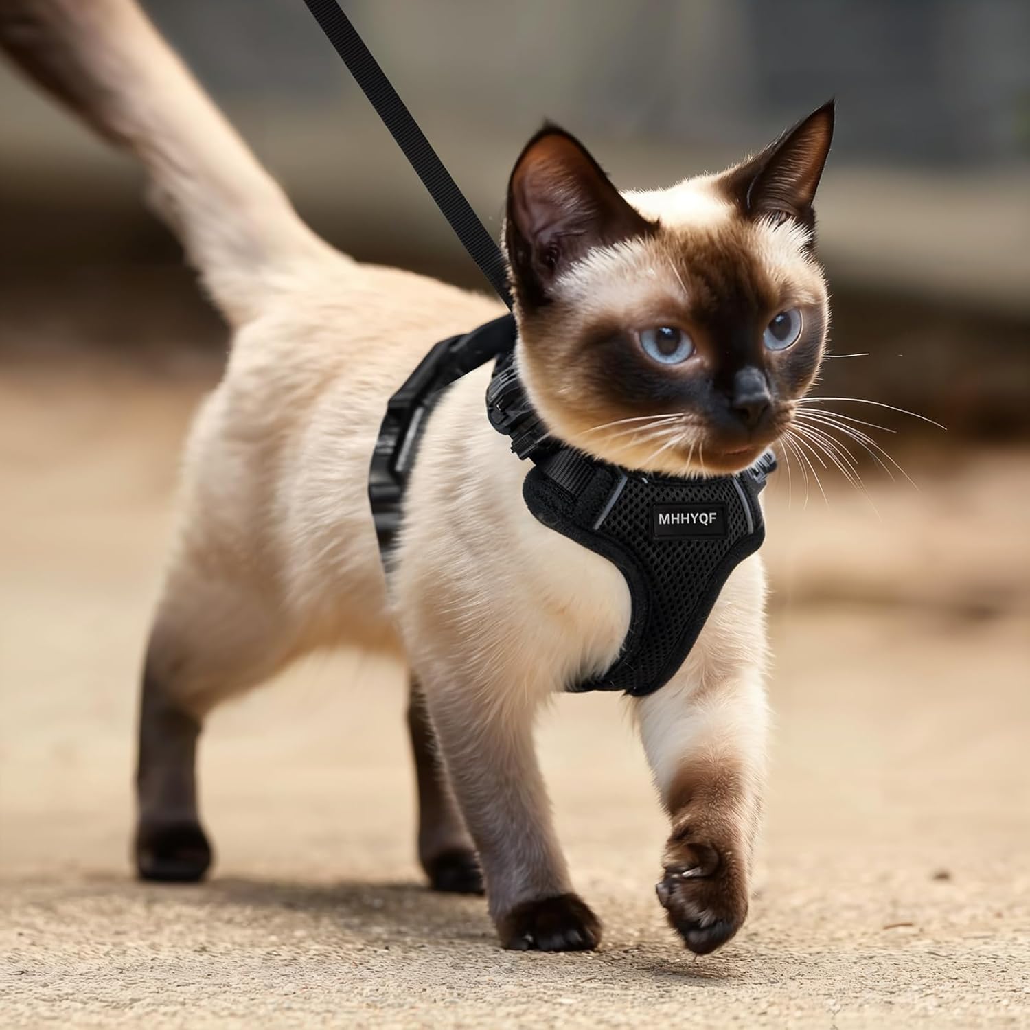 Cat Harness, Cat Car Harness and Leash for Walking, Escape Proof Soft Adjustable Vest Harnesses for Cats, Easy Control Breathable Reflective Strips Harness, Kitten Harness and Leash Set, Black, S