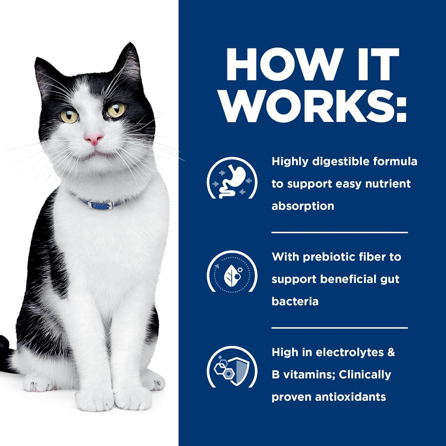 Hill’s Prescription Diet i/d Digestive Care Chicken Flavor Dry Cat Food, Veterinary Diet, 4 lb. Bag
