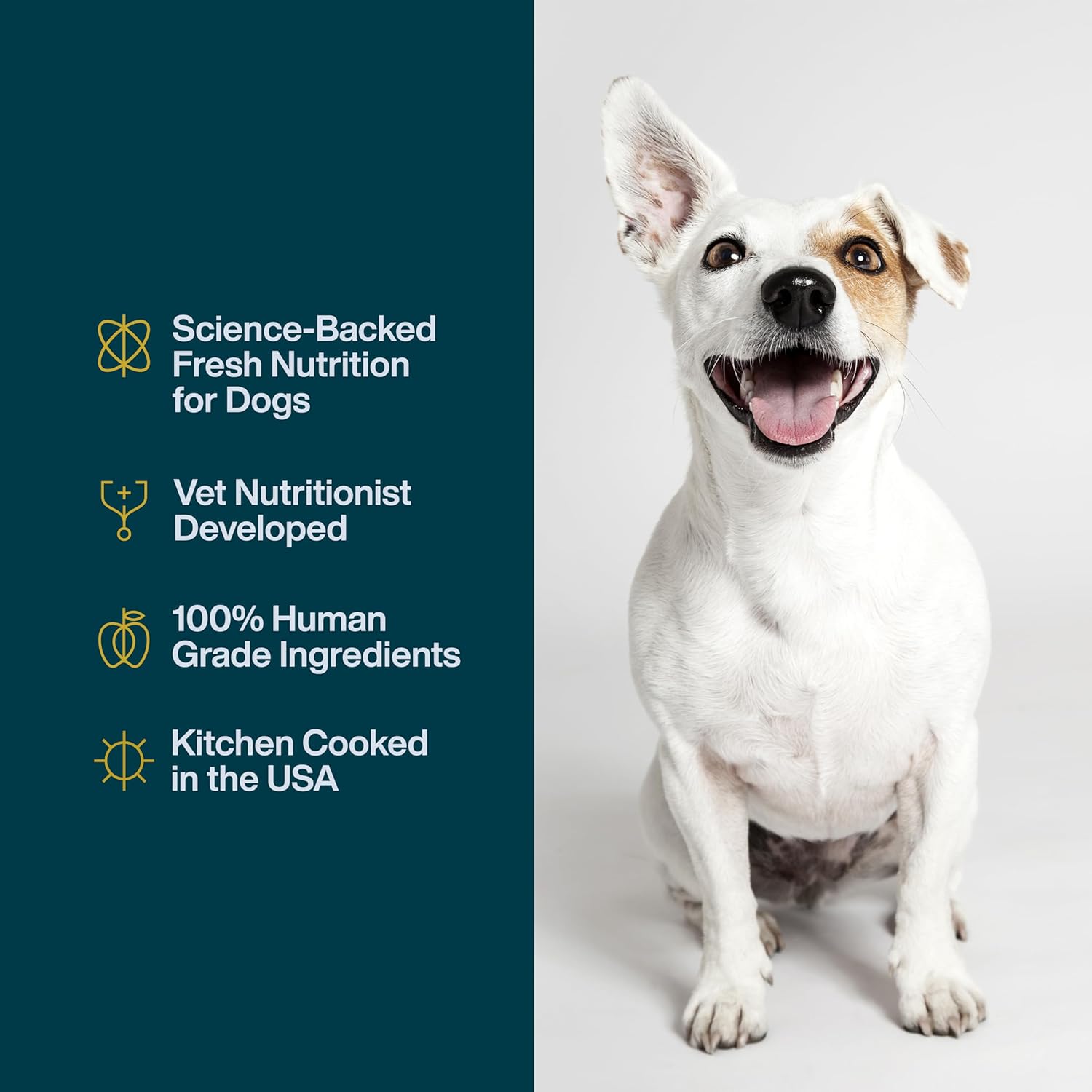 JustFoodForDogs JustFresh Home-Cooked Chicken Dog Food with No Preservatives, Resealable Packaging, Human Grade Wet Dog Food, 12 oz – 7 Pack