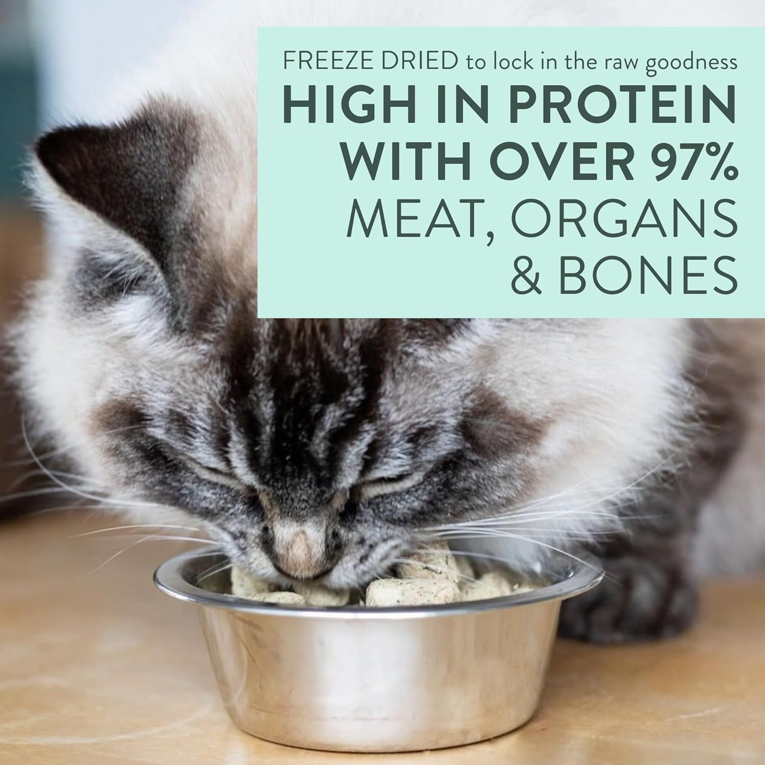 Meow Freeze Dried Cat Food – Wild Venison Recipe, High Protein Cat Treats, Meals & Toppers, Dry Cat Food, 1.76 oz