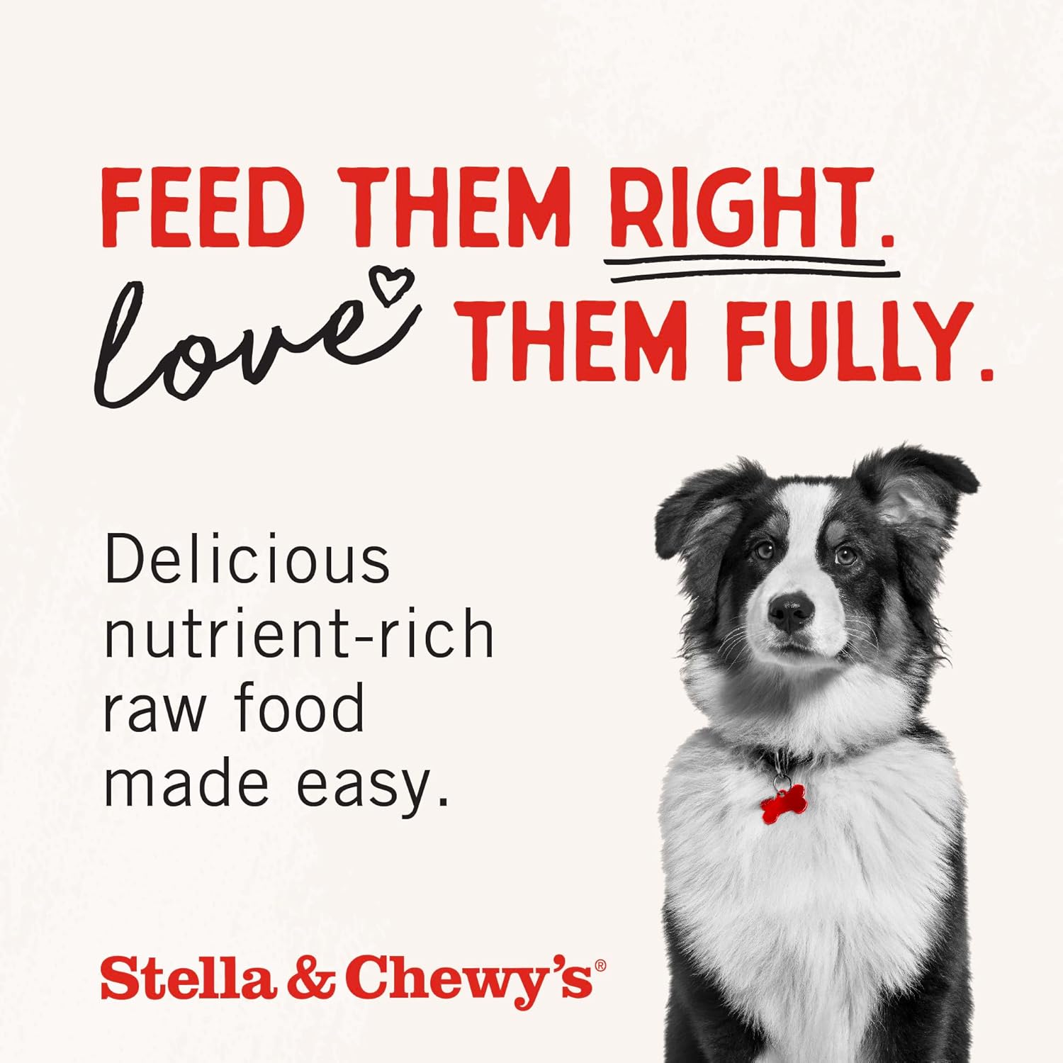 Stella & Chewy’s Freeze Dried Raw Dinner Patties – Grain Free Dog Food, Protein Rich Stella’s Super Beef Recipe – 14 oz Bag