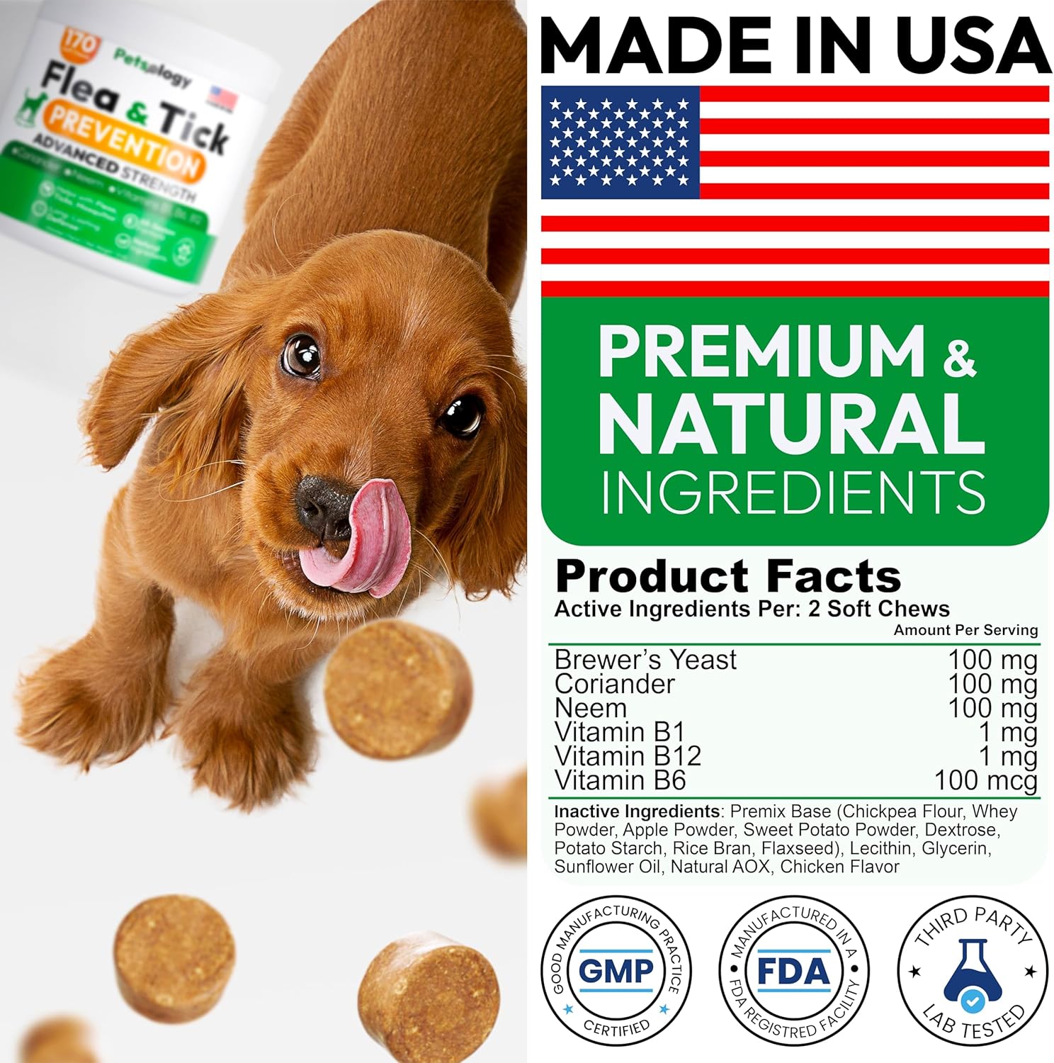 Flea and Tick Prevention for Dogs Pills – Natural Dog Flea & Tick Control – 170 Soft Chewables – Oral Defense Treatment for Dogs Supplement – Vet Formulated Chews – All Breeds & Ages – Made in USA